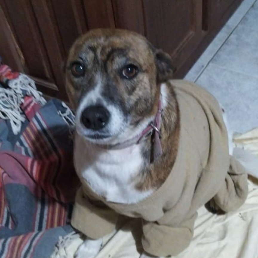 Runa