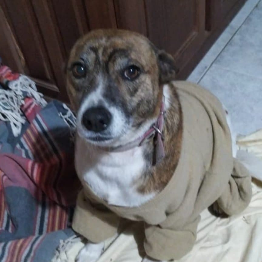 Runa
