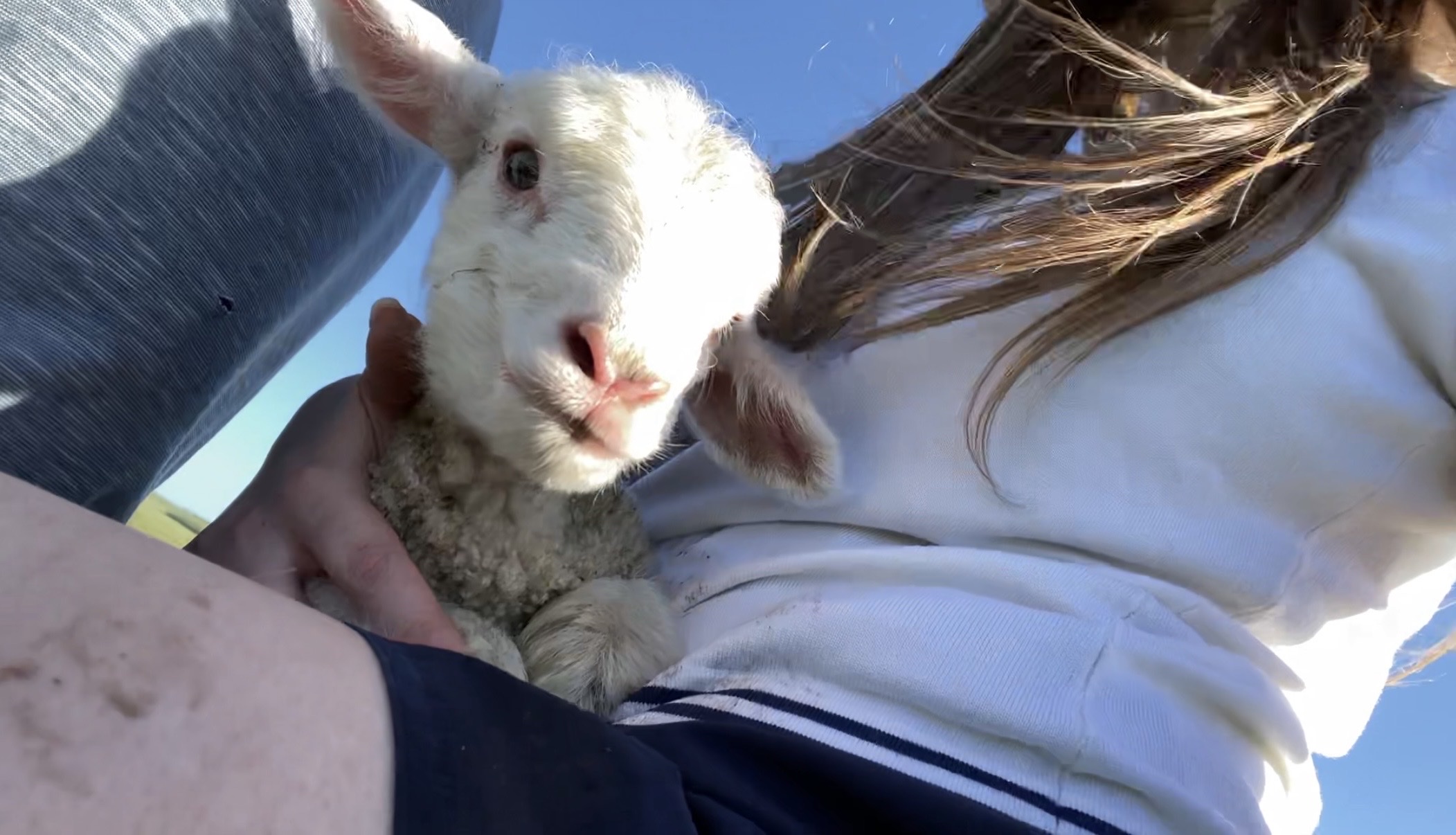 image-7