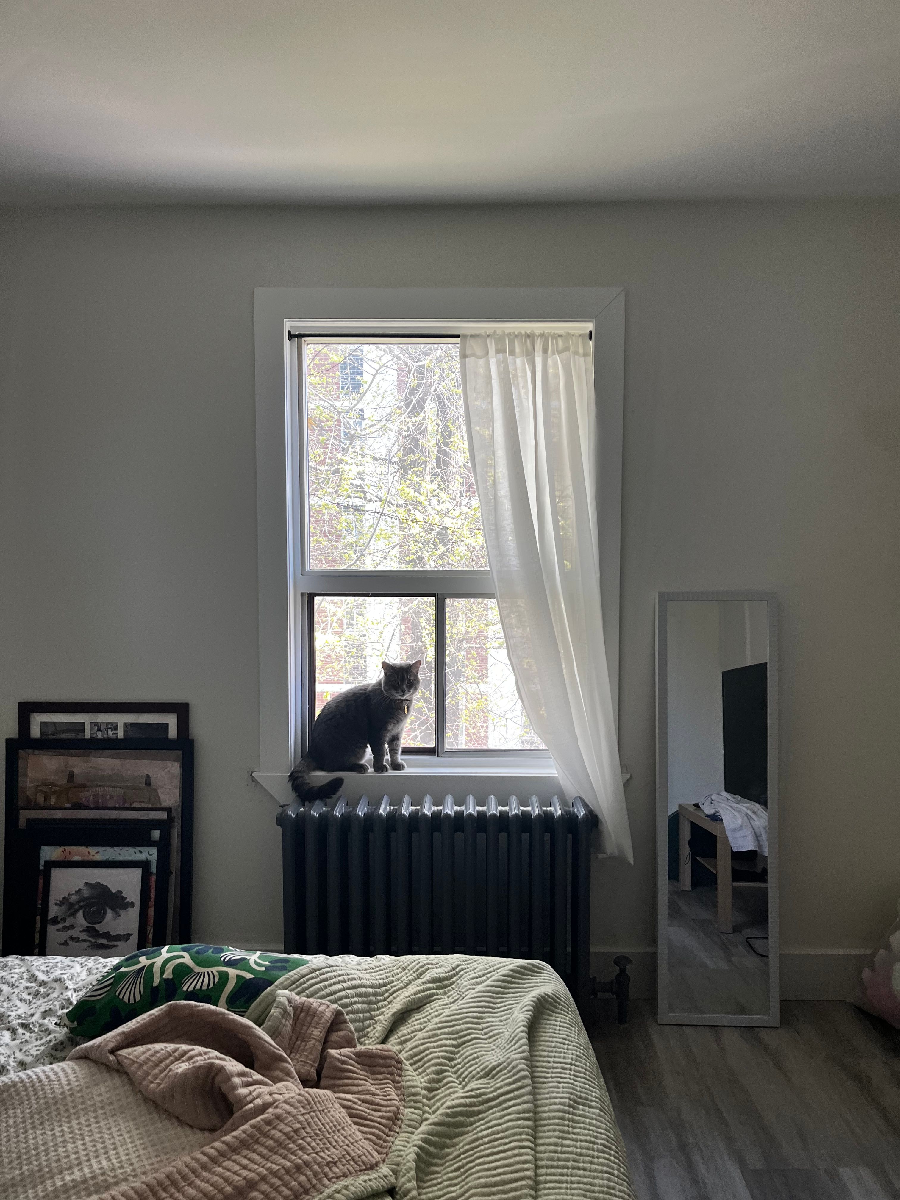 image-10