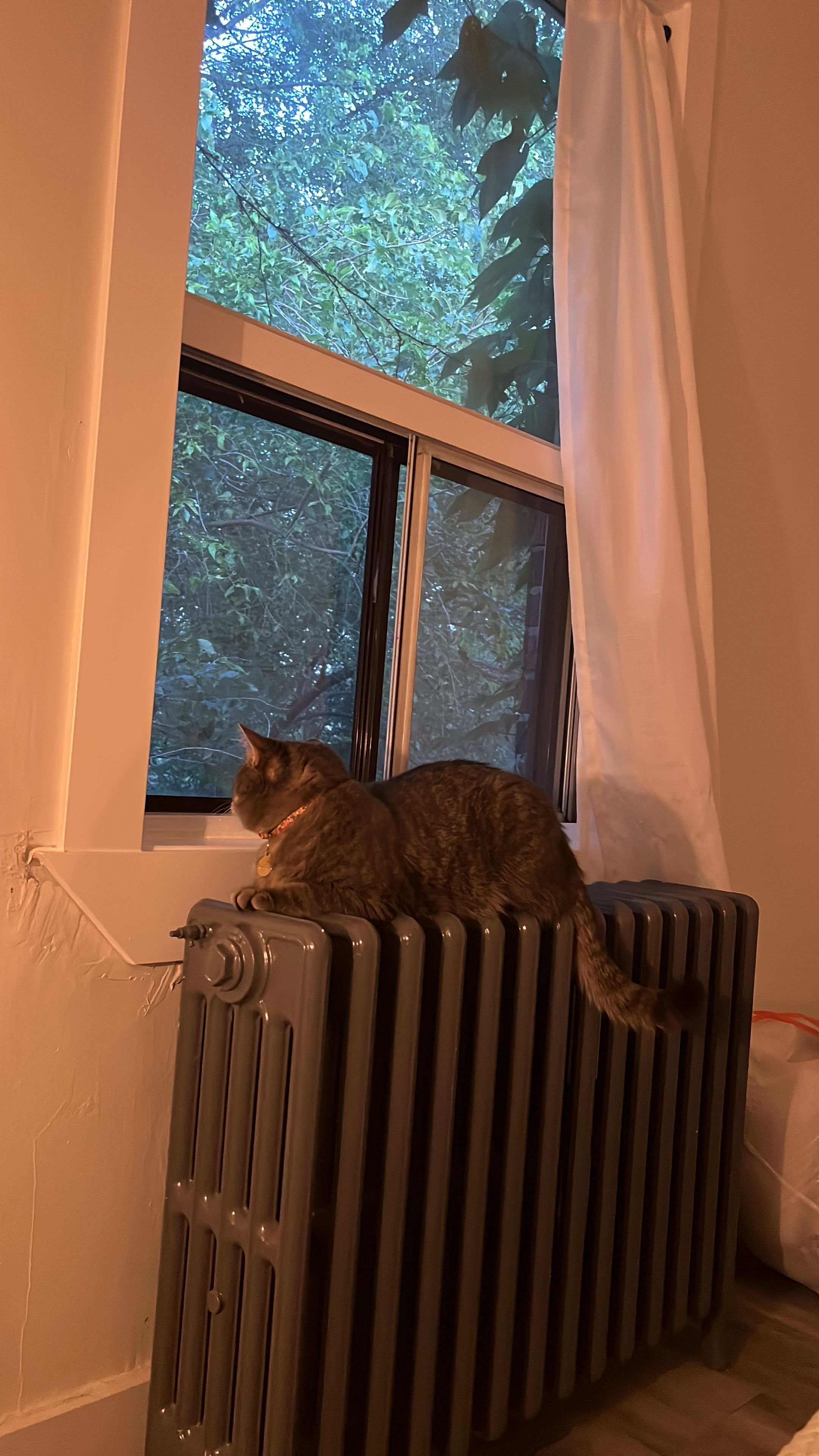 image-5