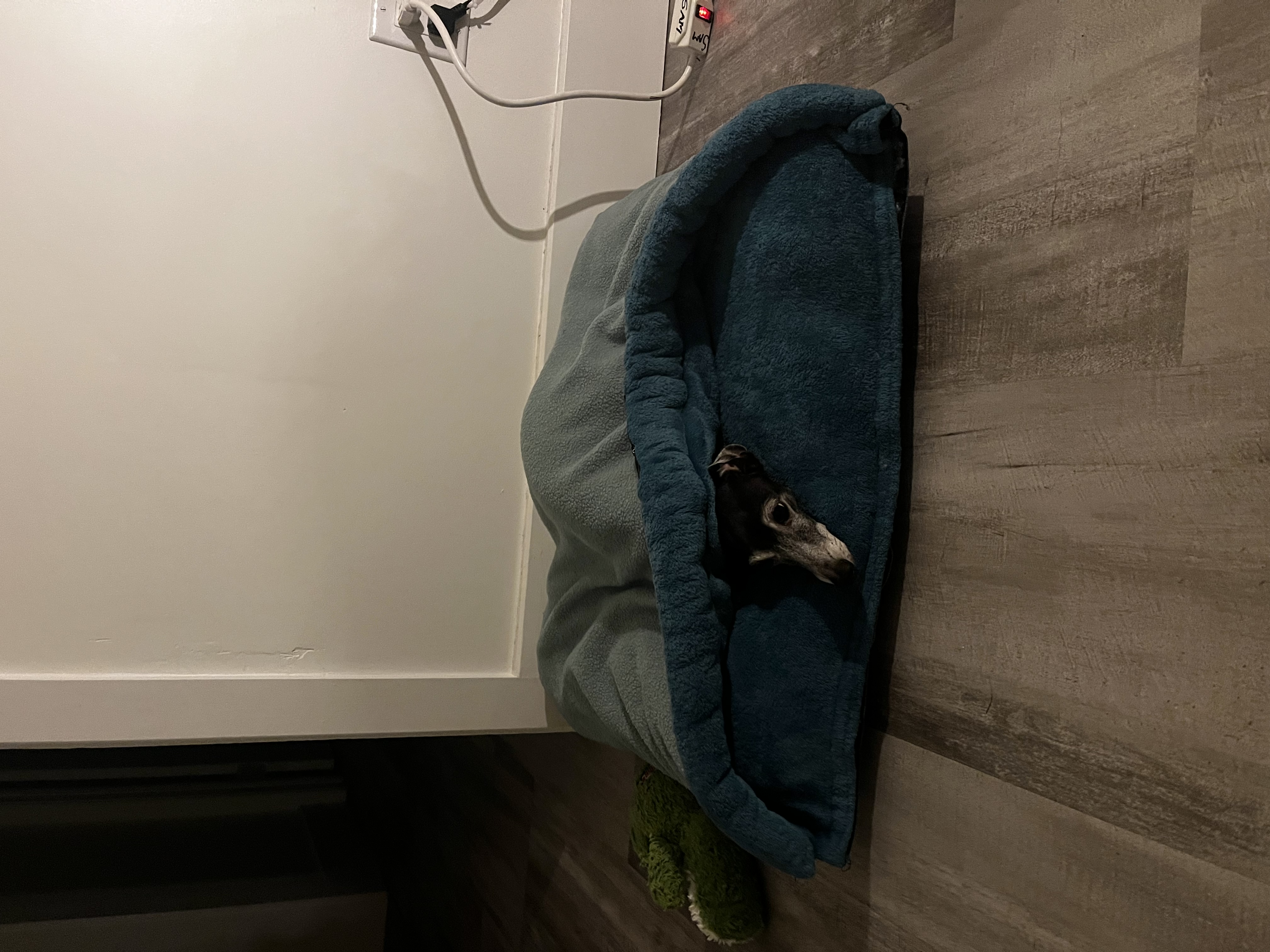 image-4