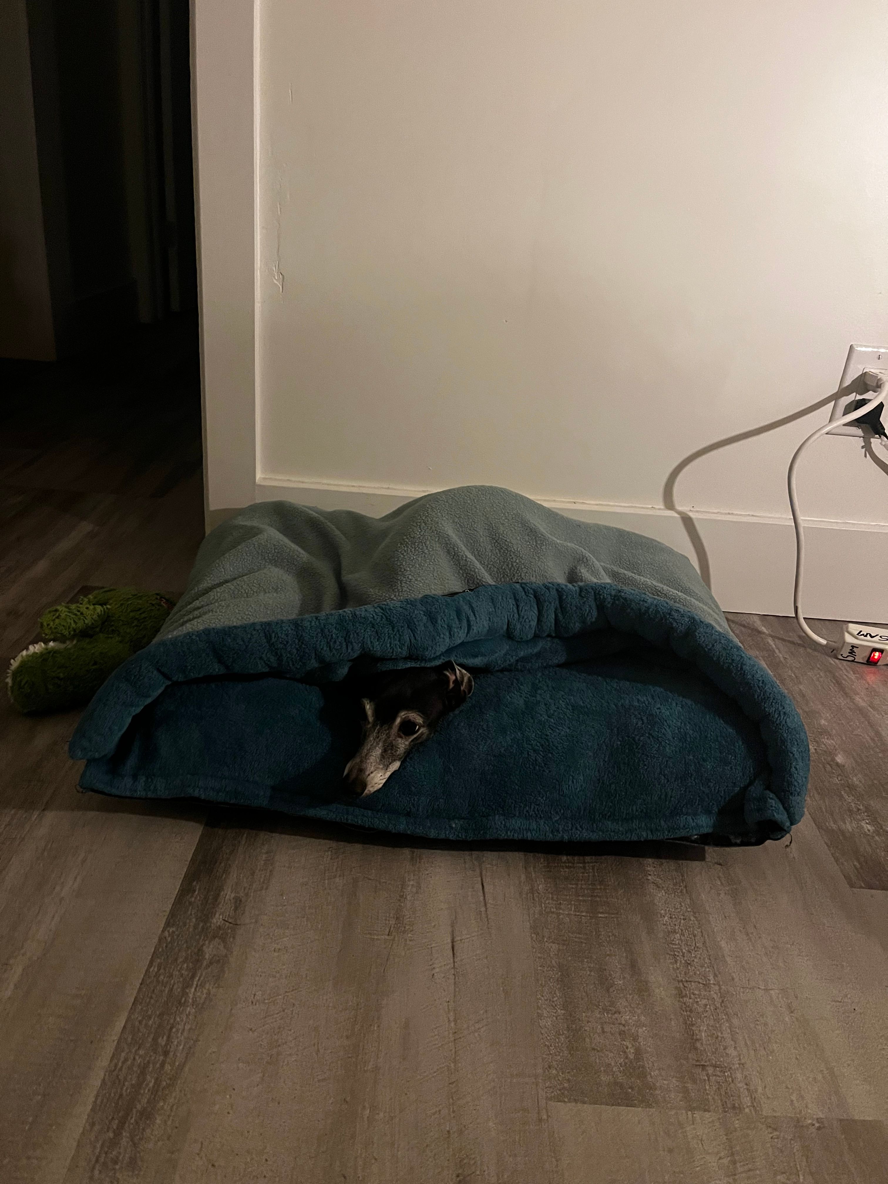 image-4