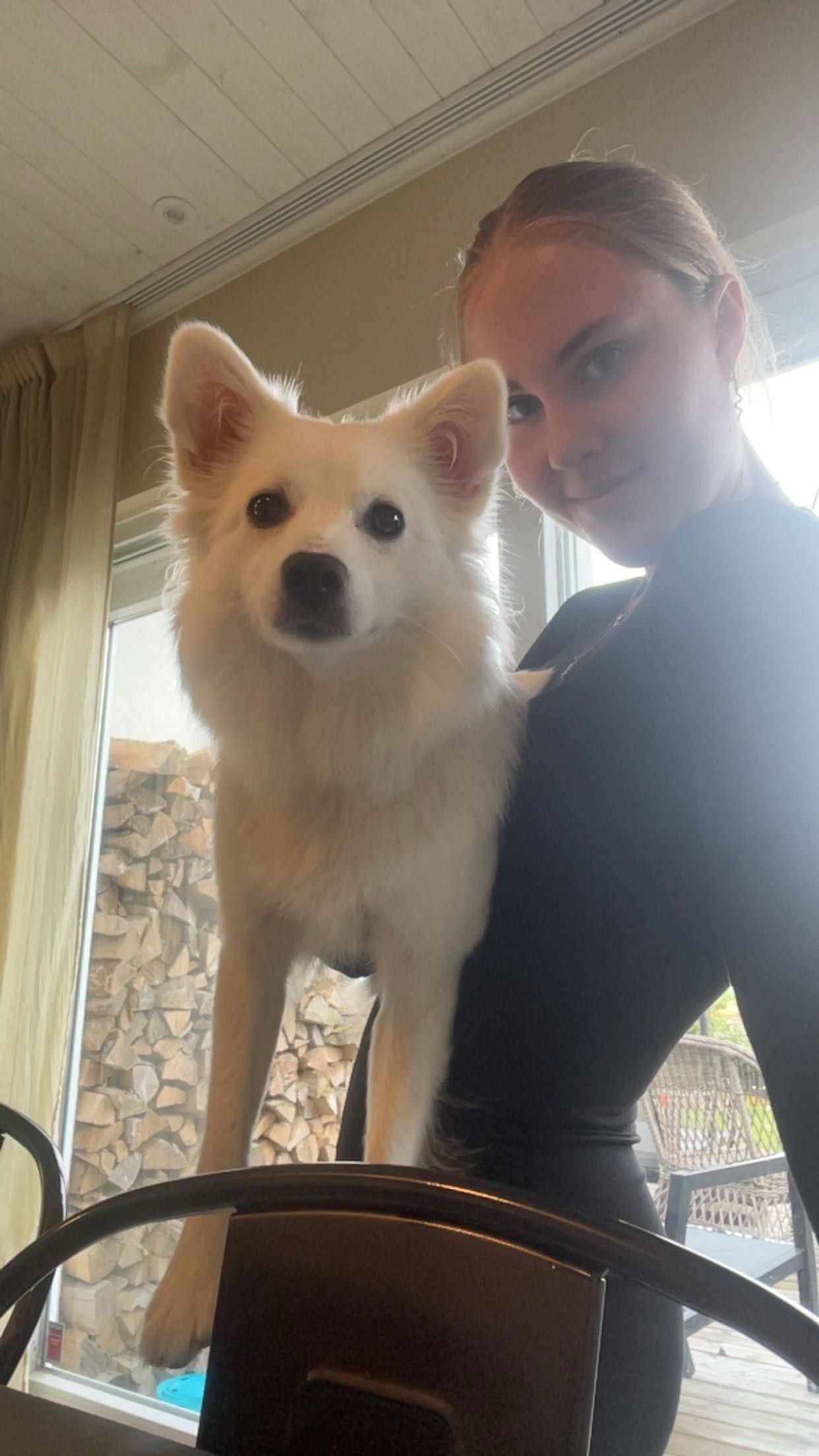 image-6