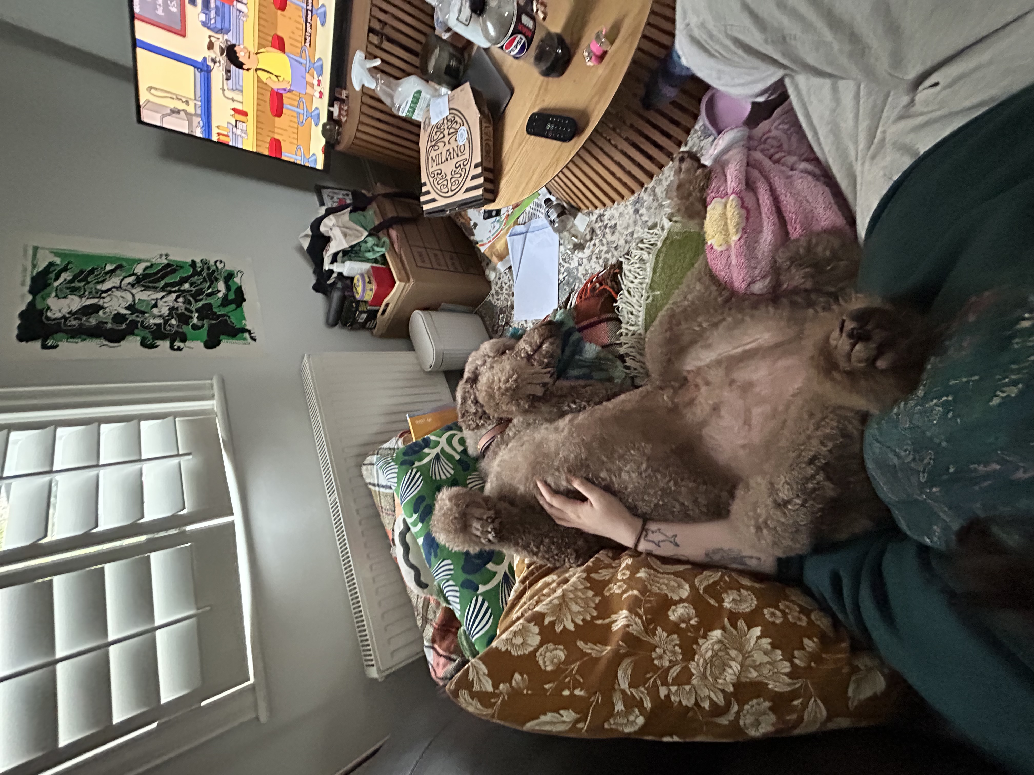 image-5