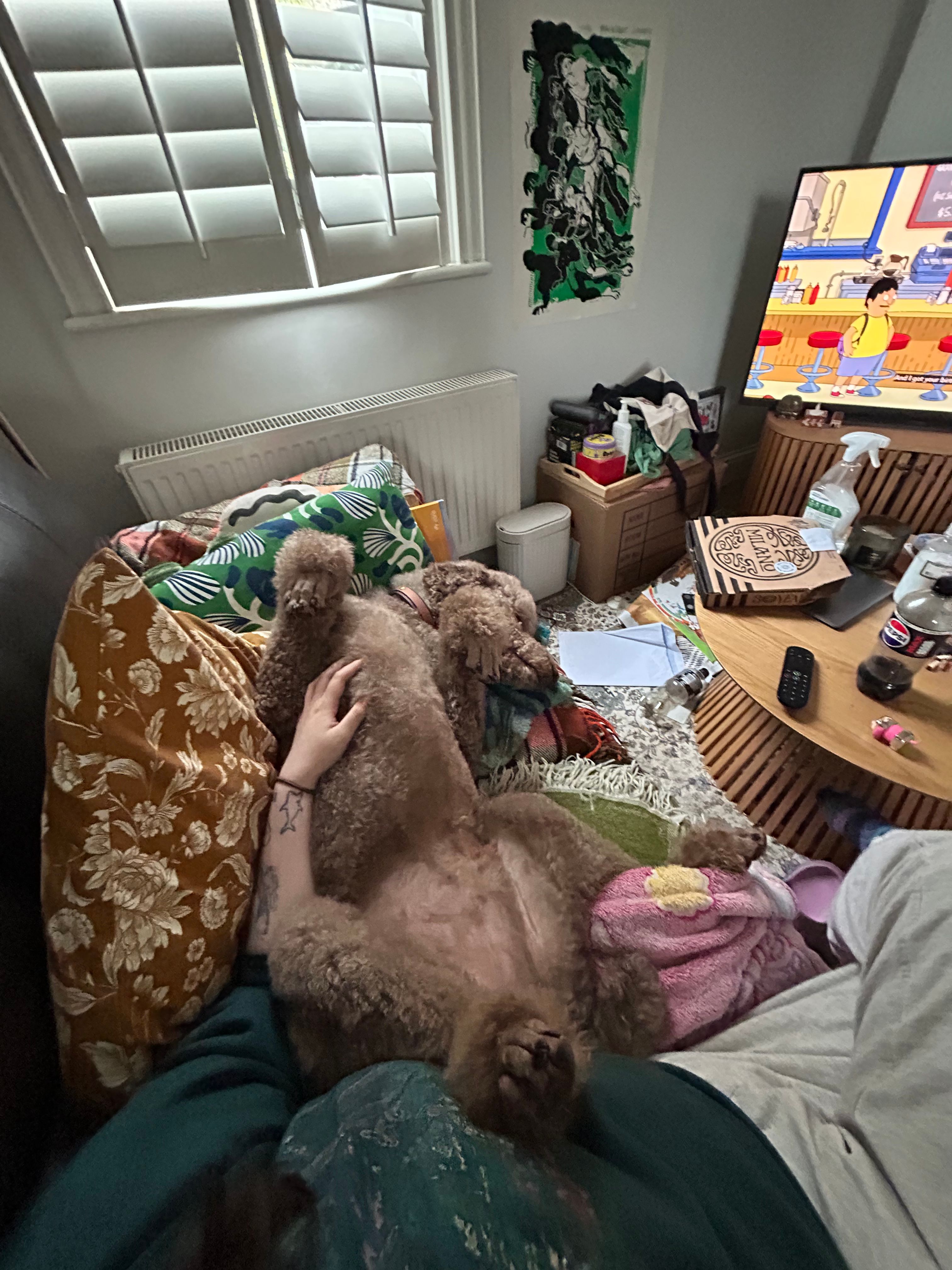 image-5