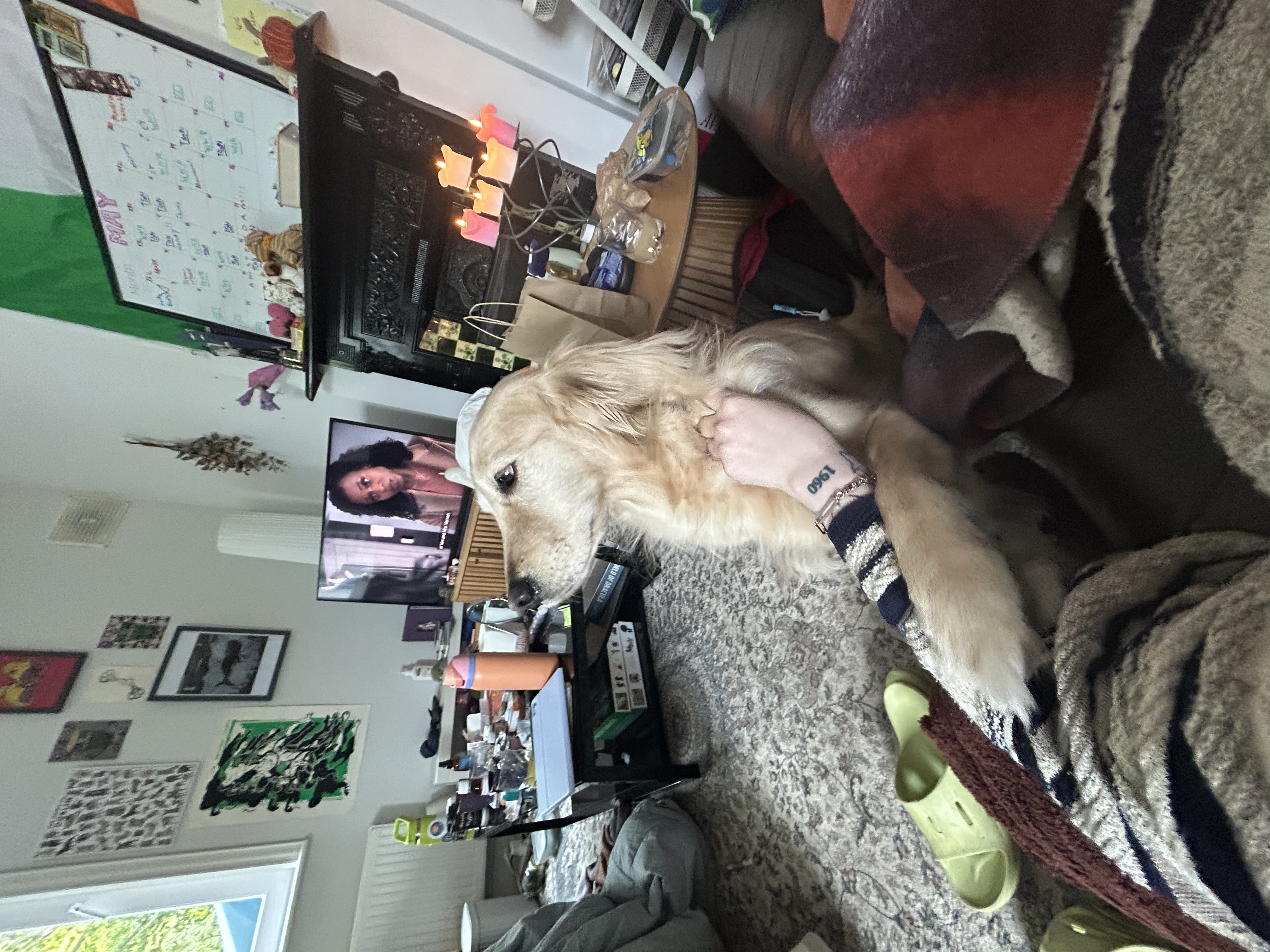 image-8