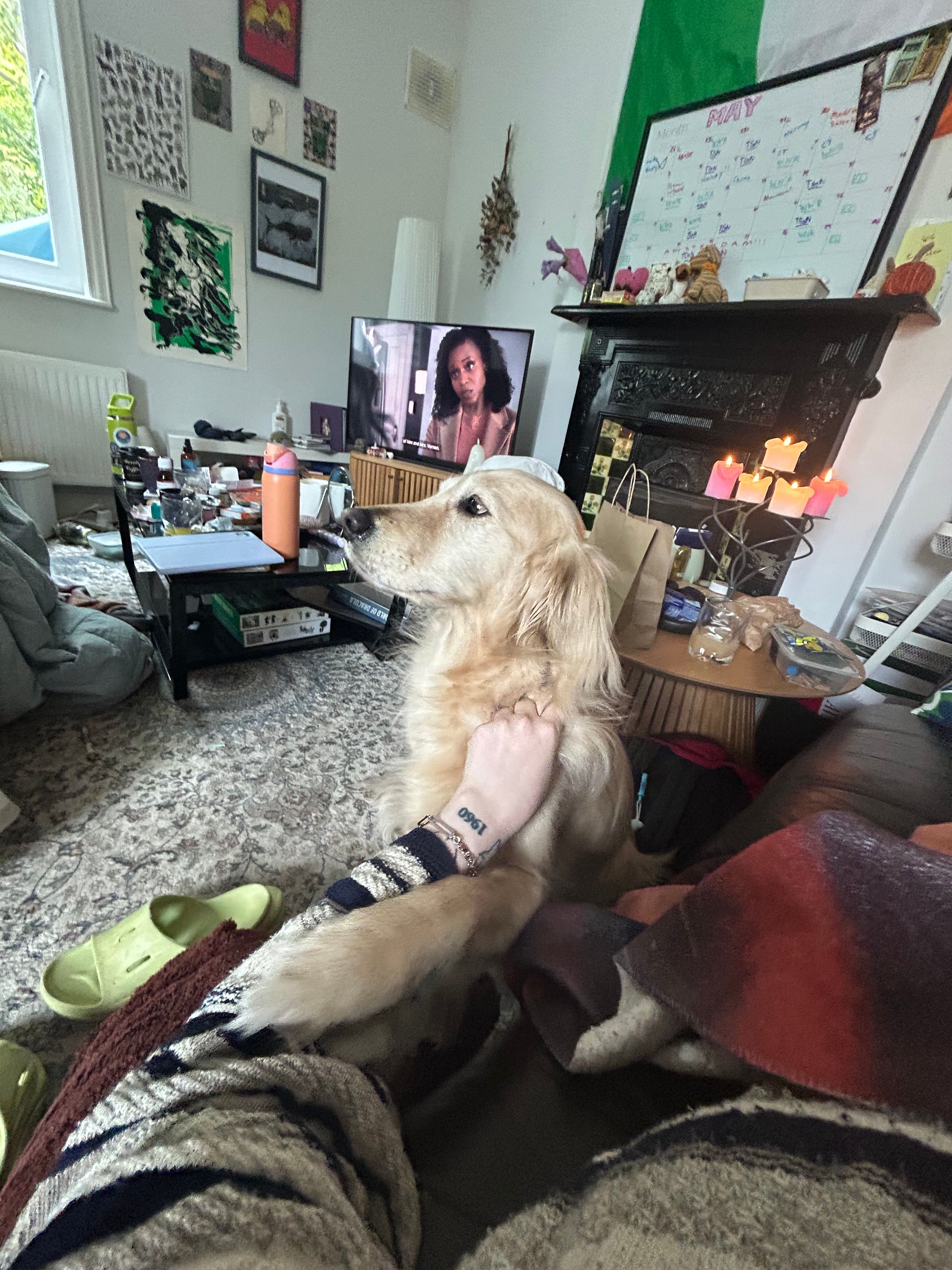 image-8