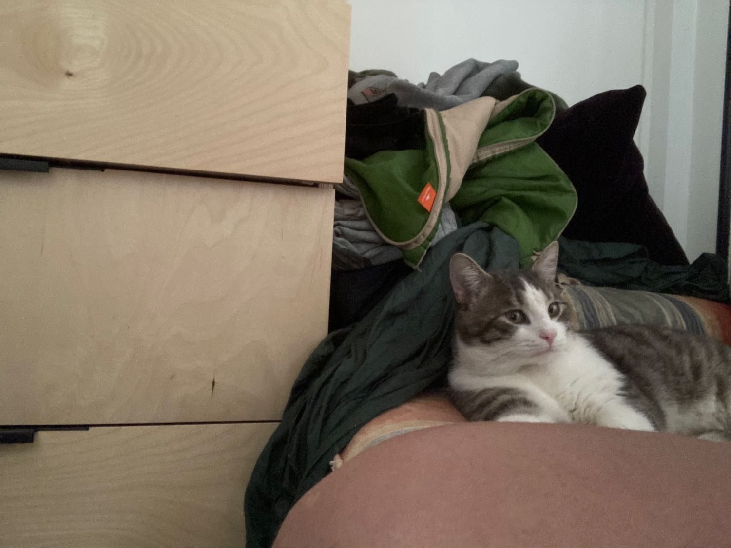 image-6