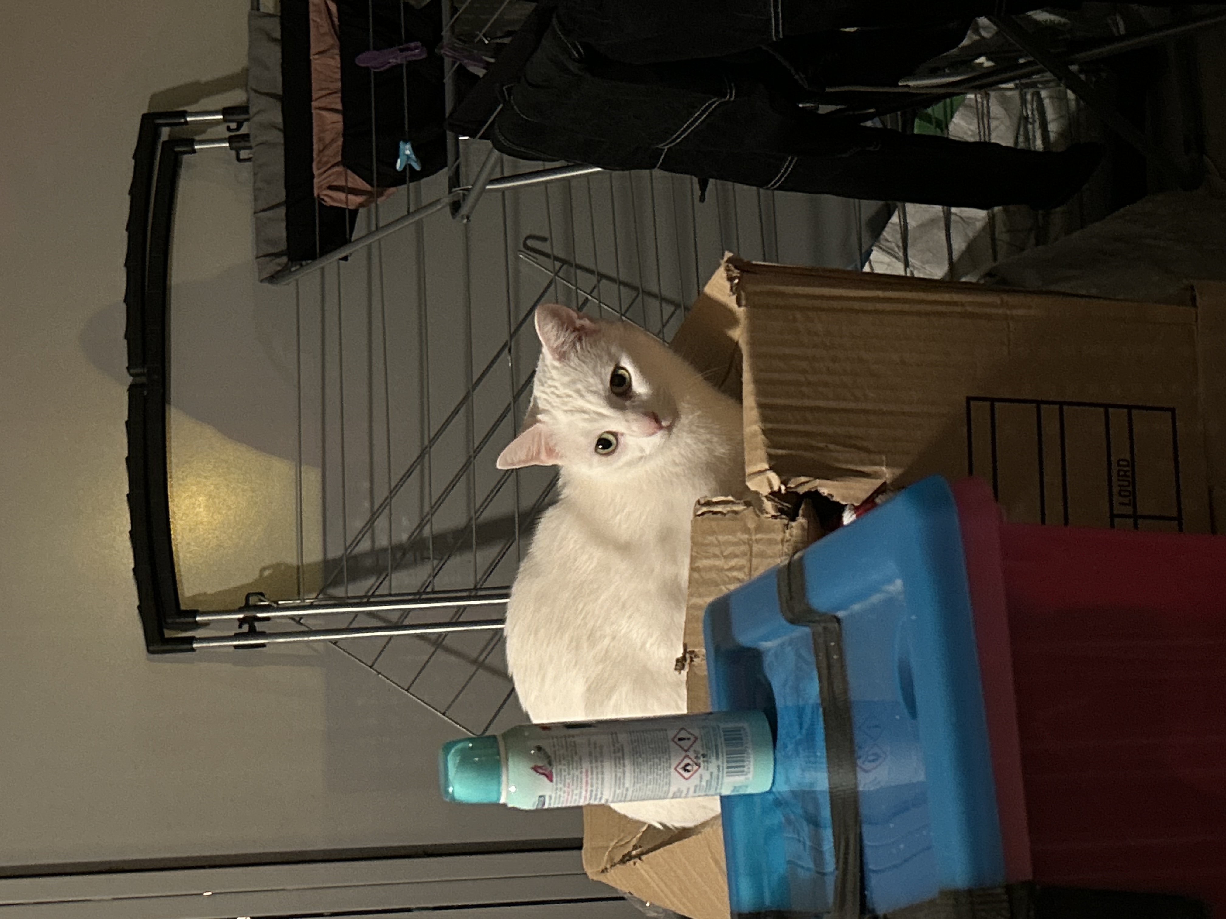 image-8