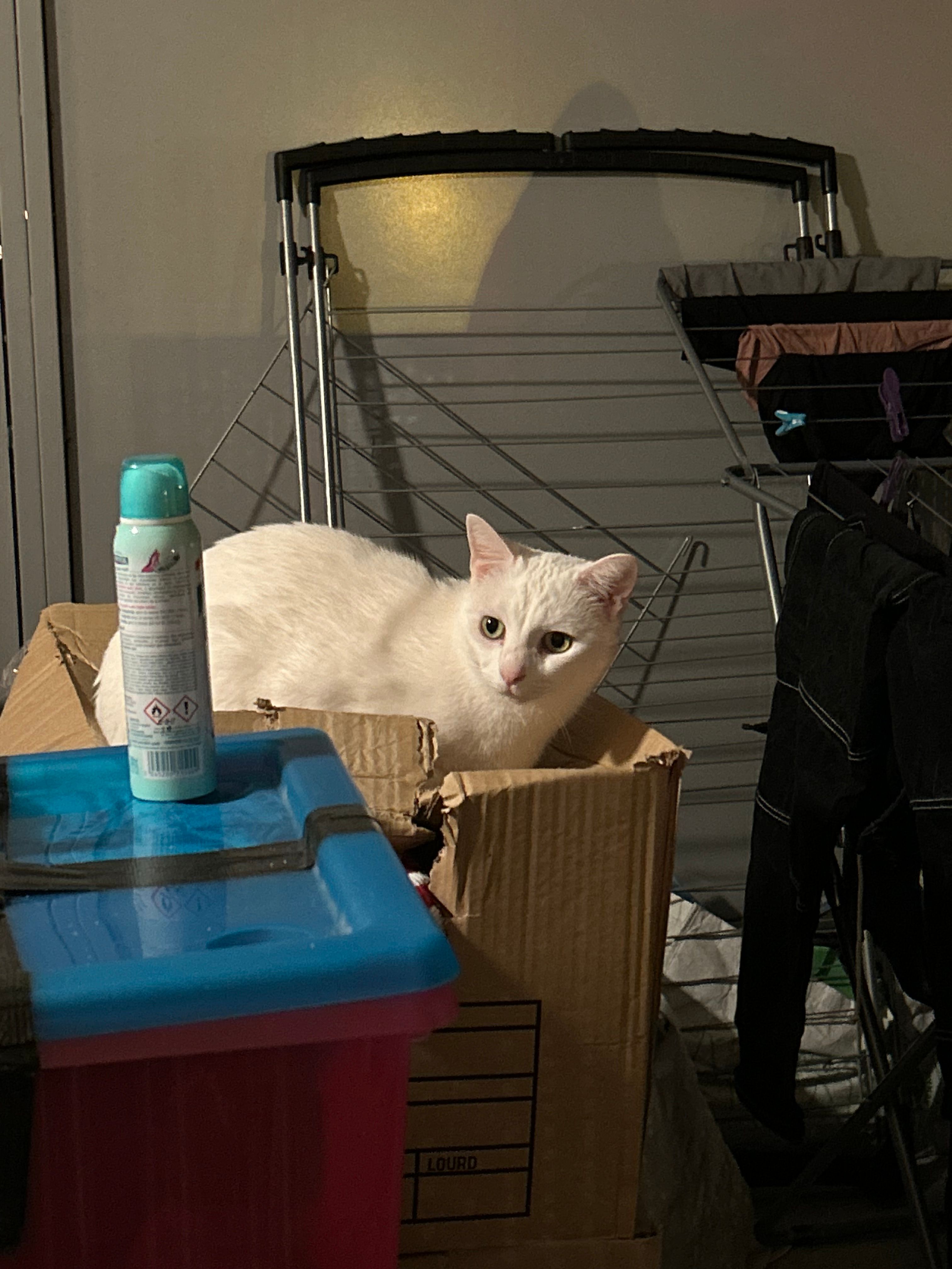 image-8