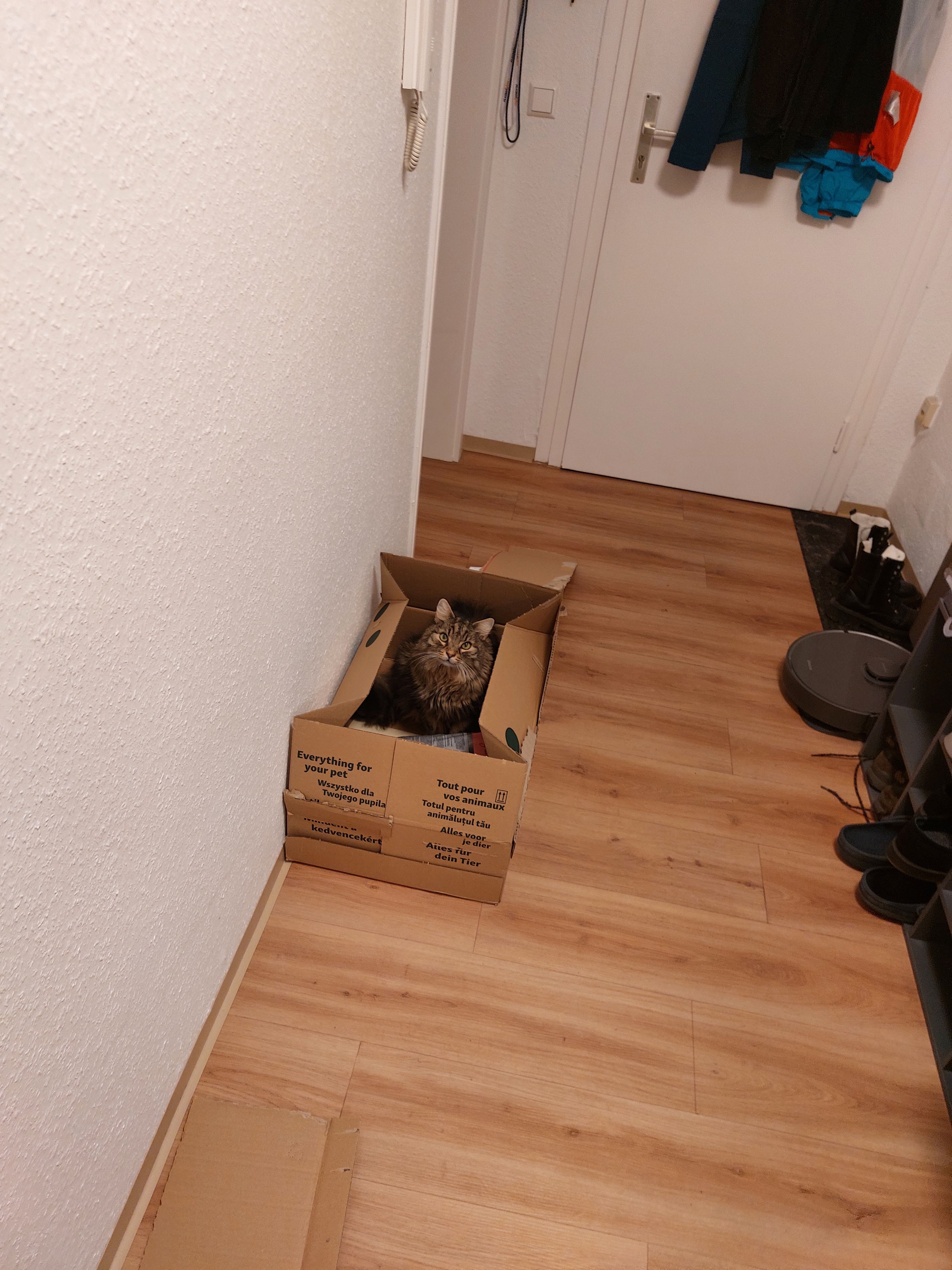 image-19
