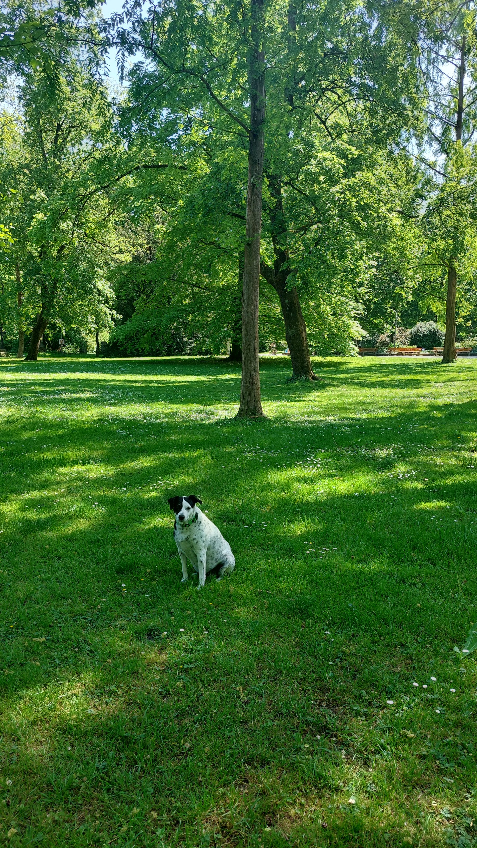 image-15