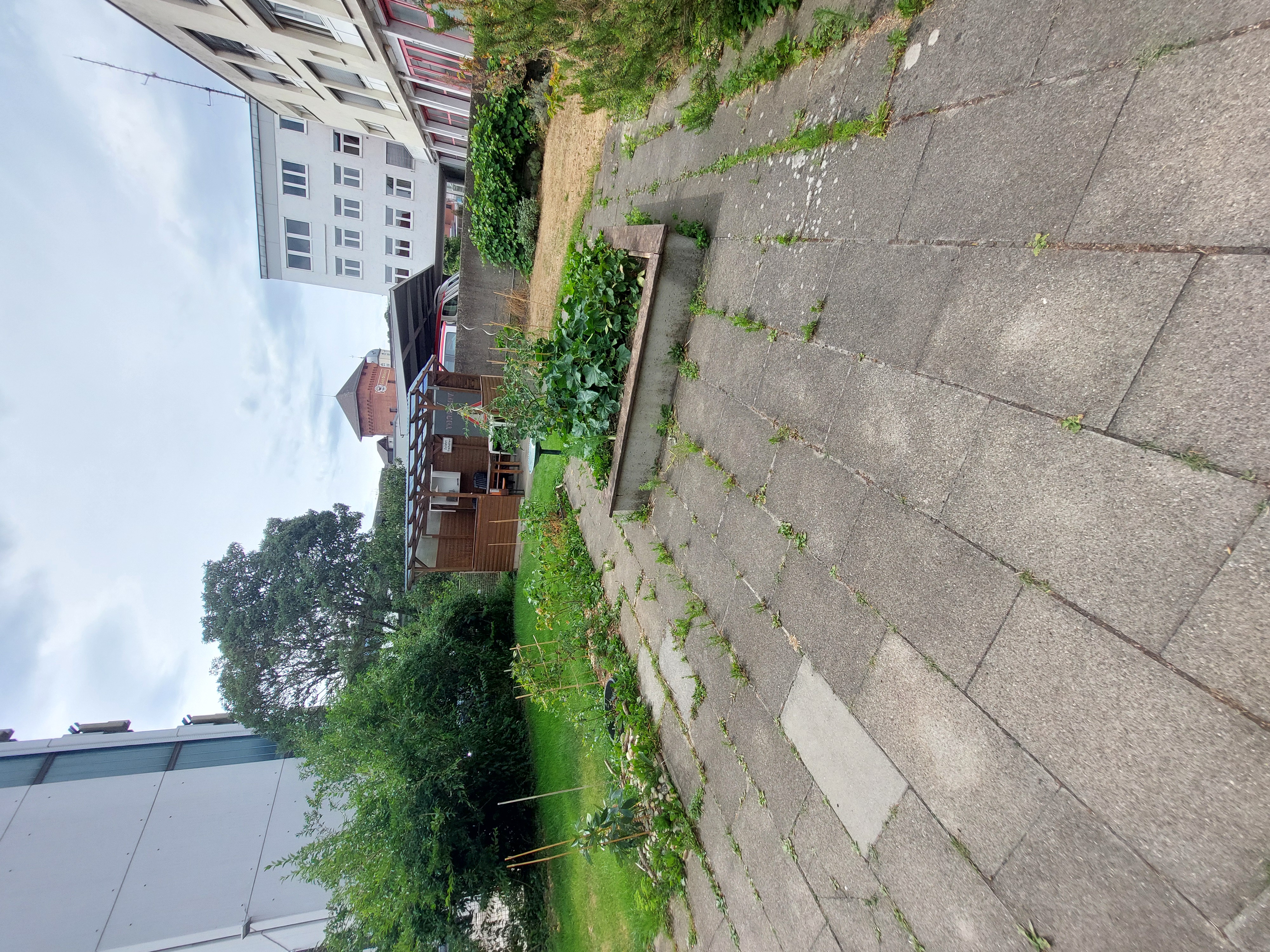 image-21