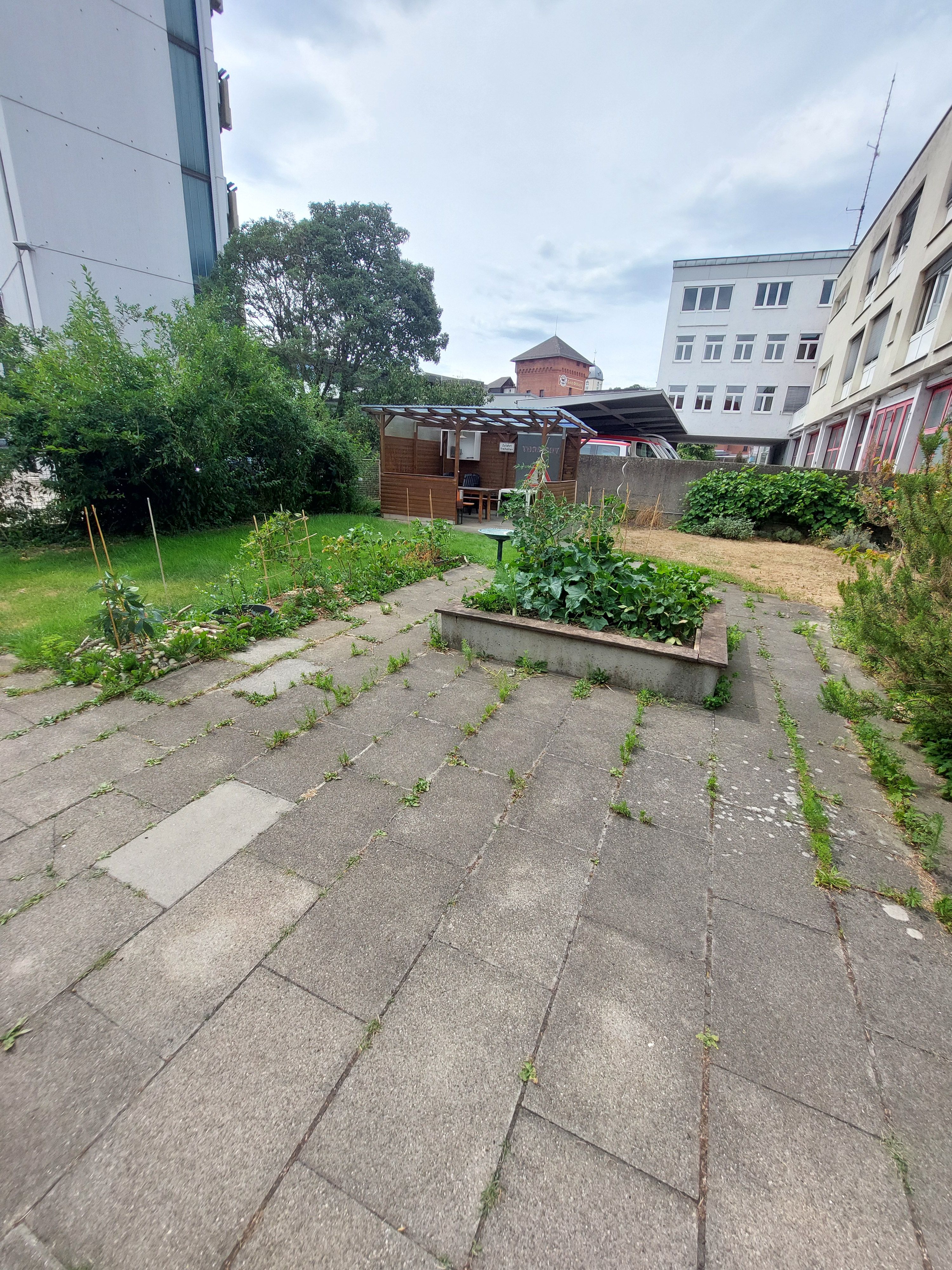 image-21