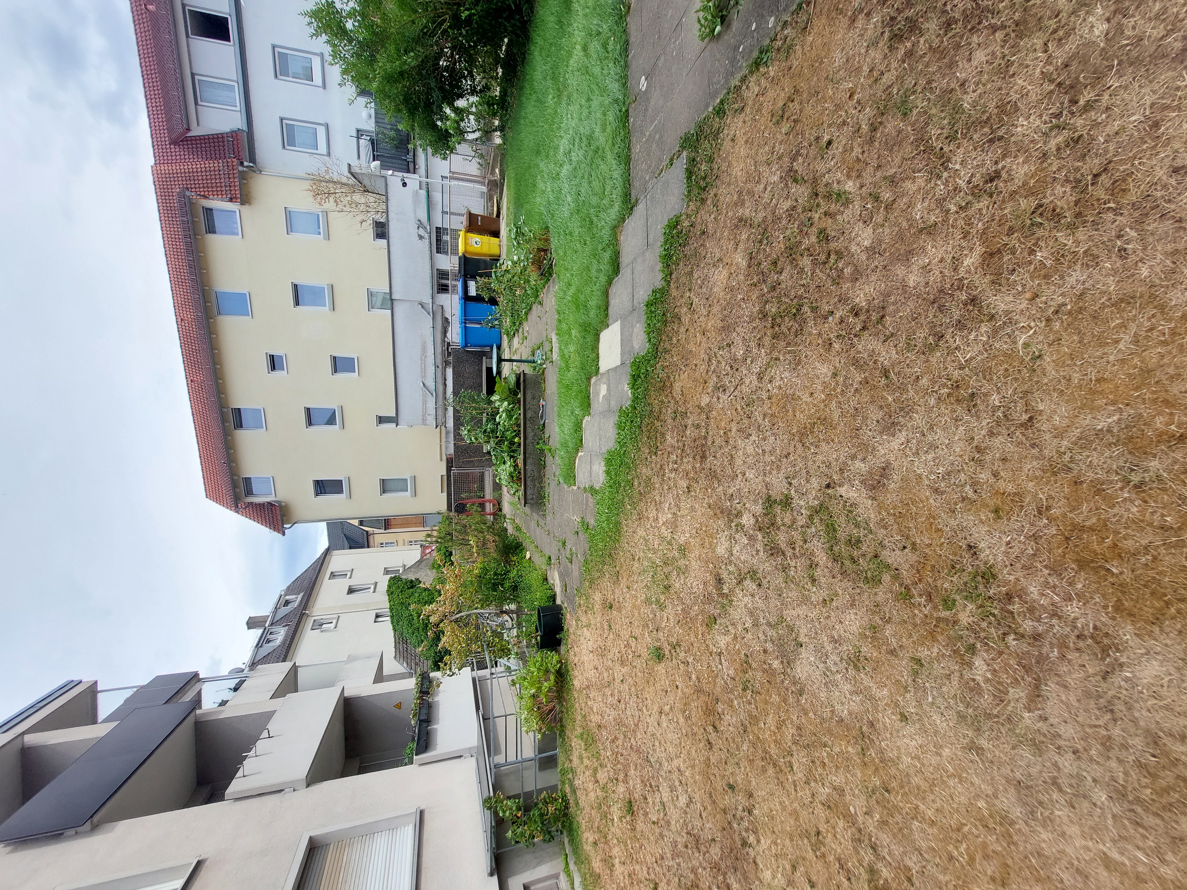 image-22