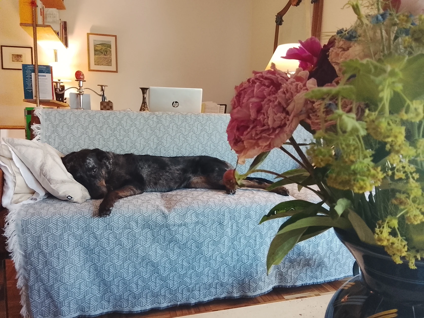 image-7