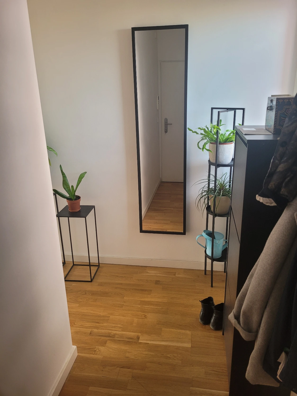 image-19