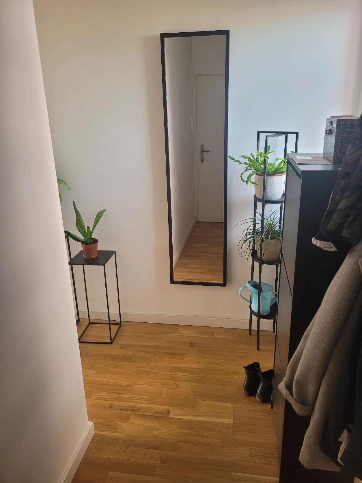 image-19