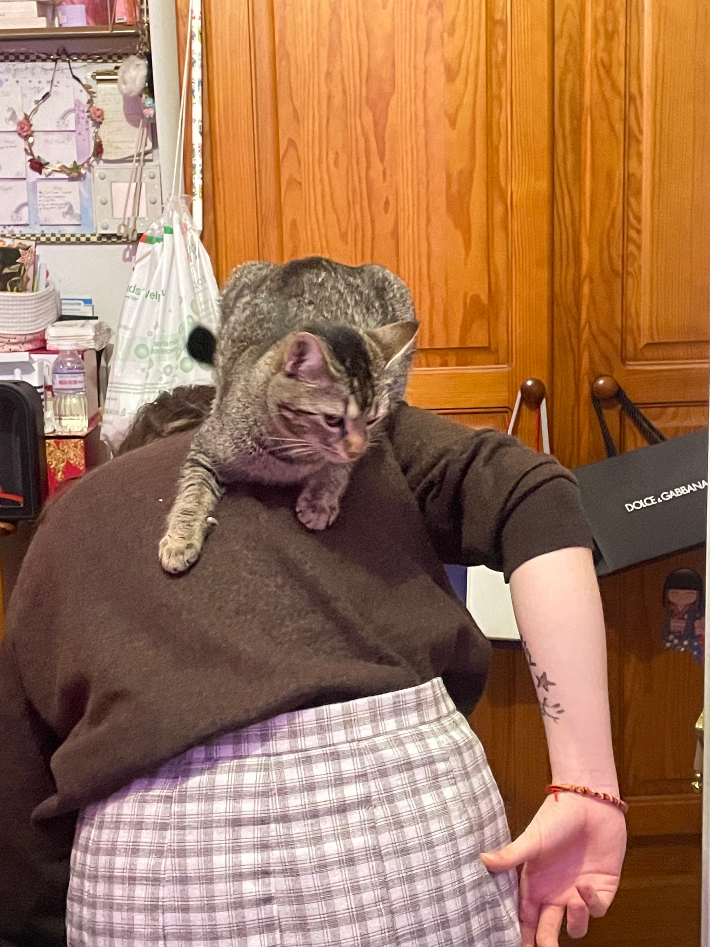 image-18