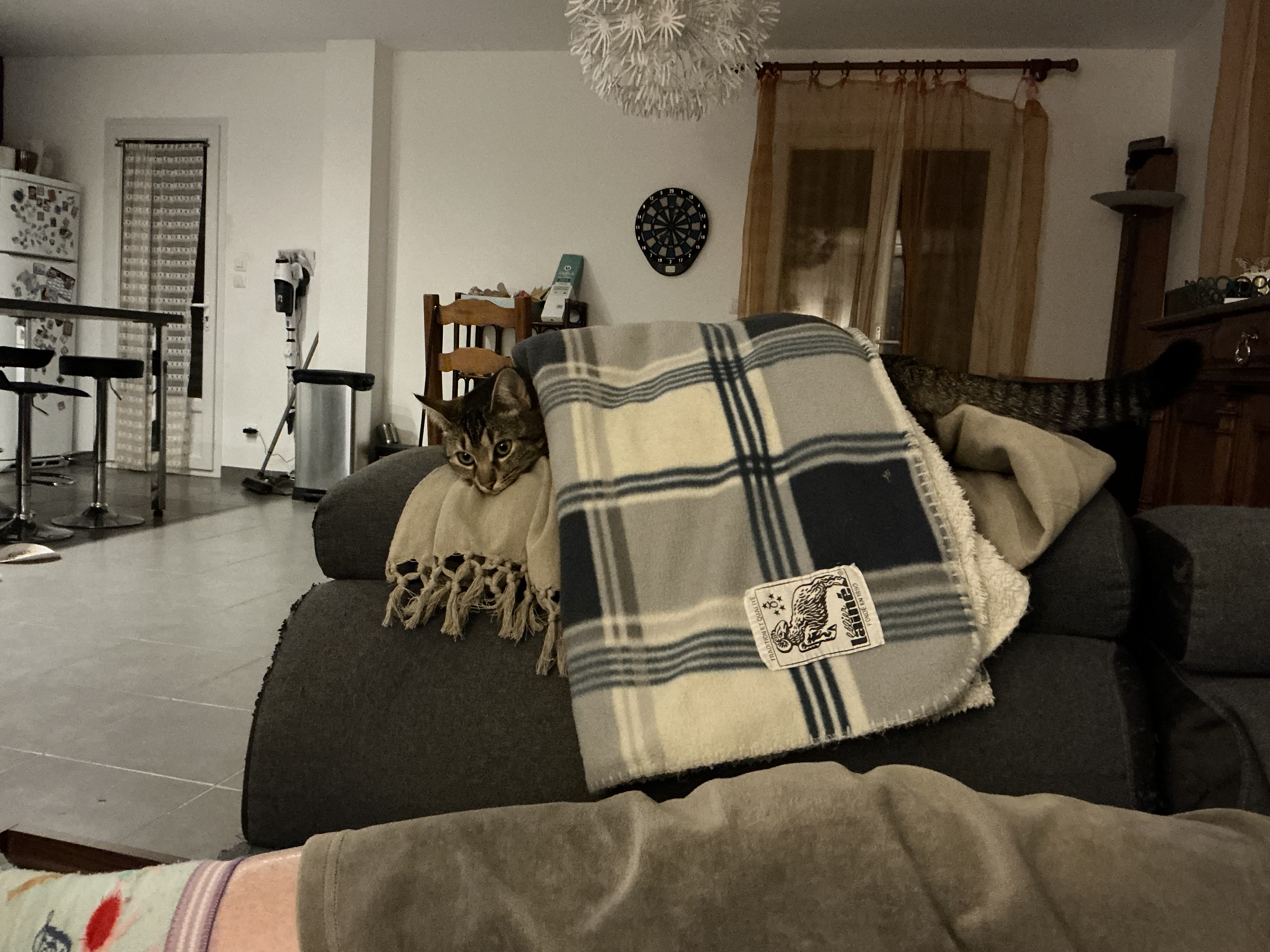 image-34