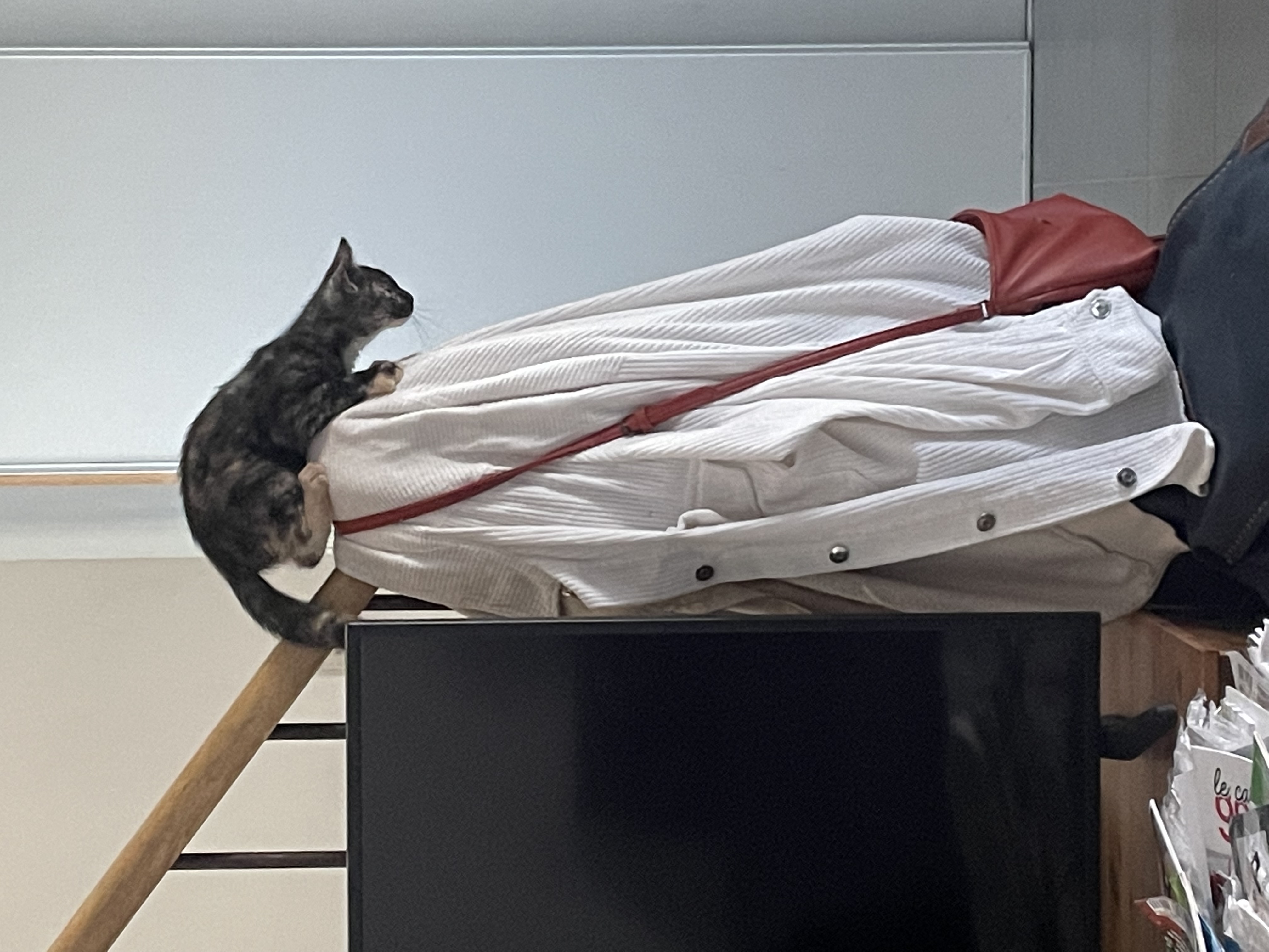 image-32