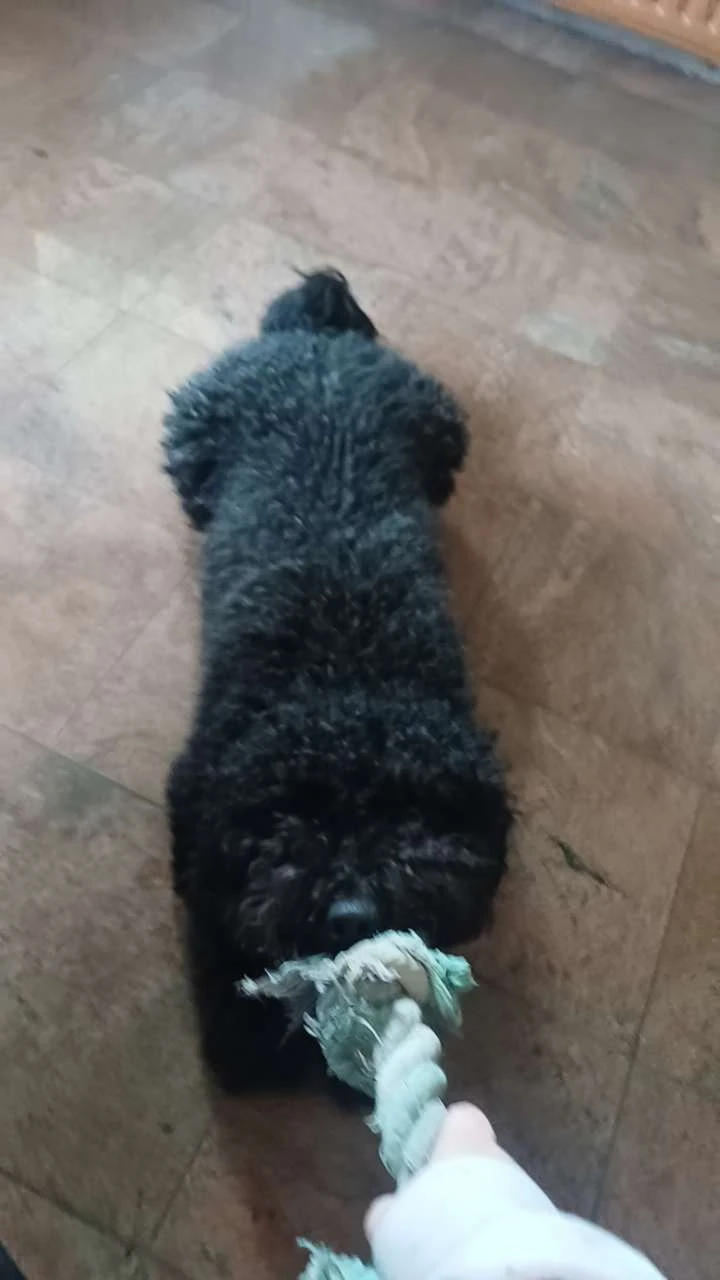 image-10