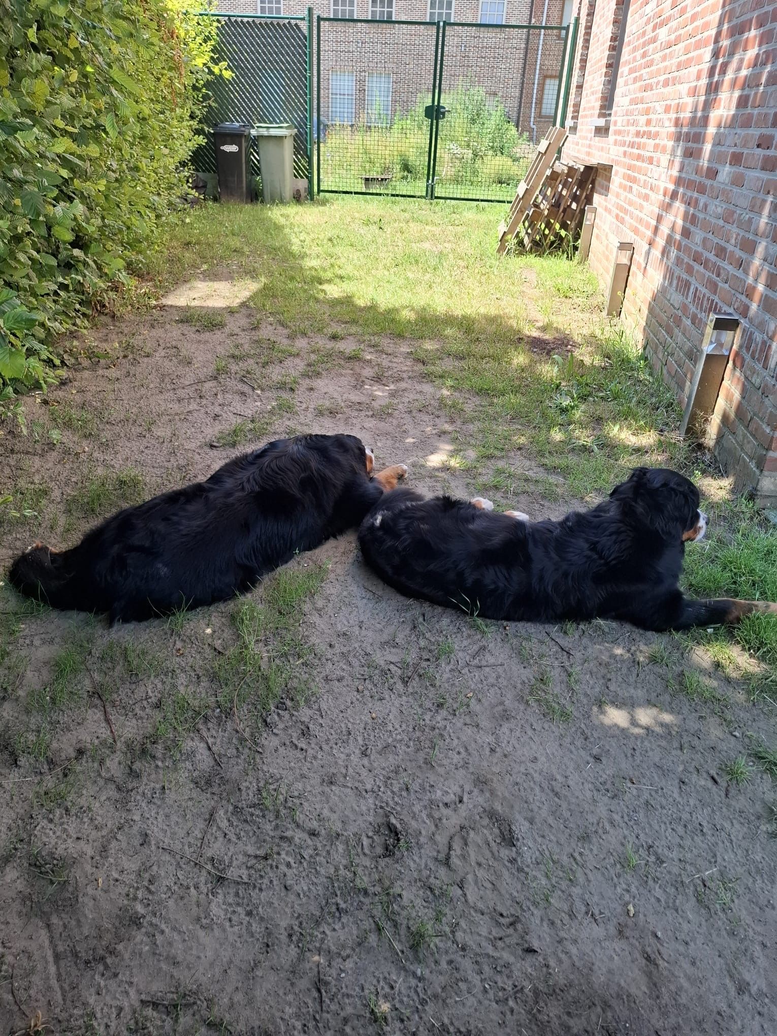 image-8