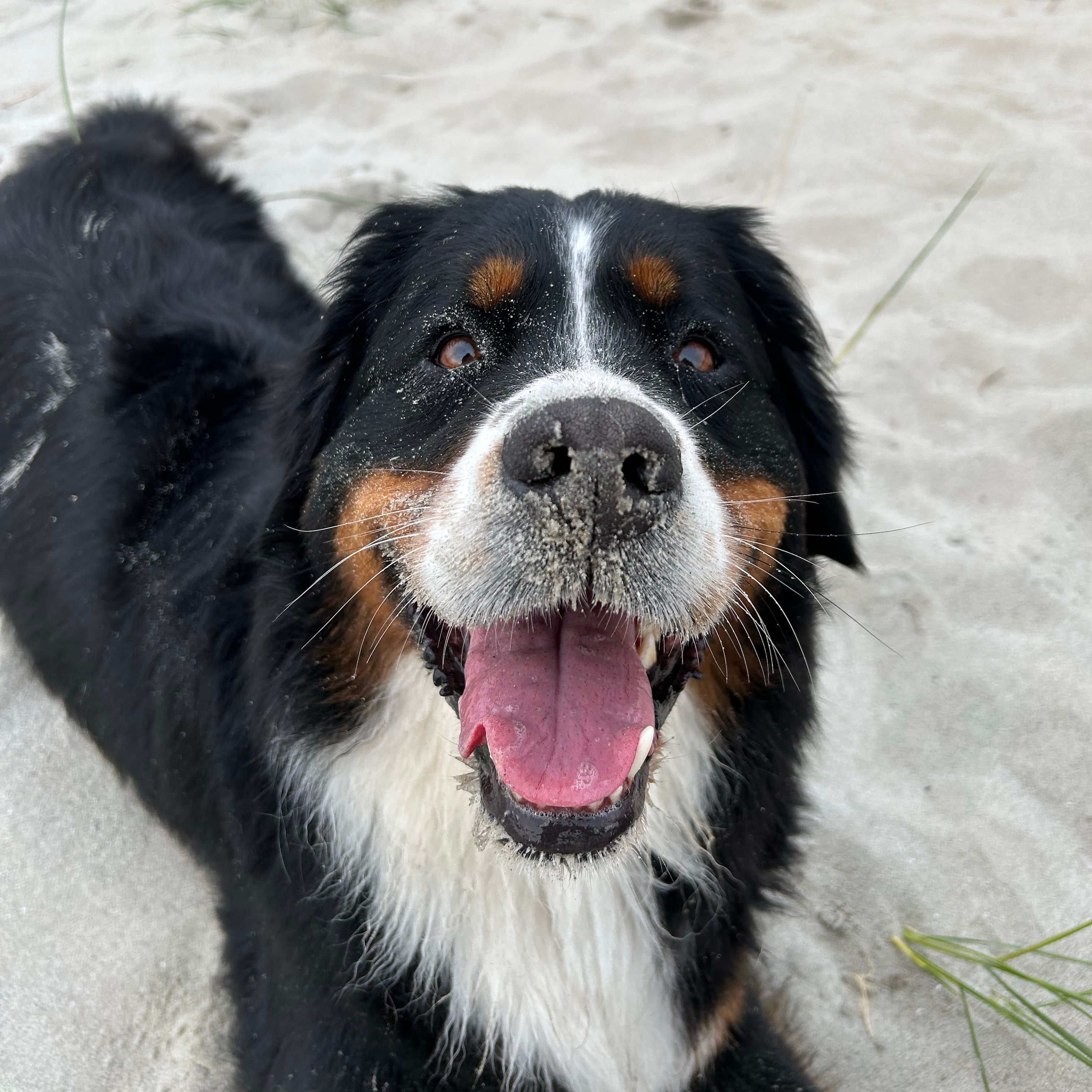 Happy