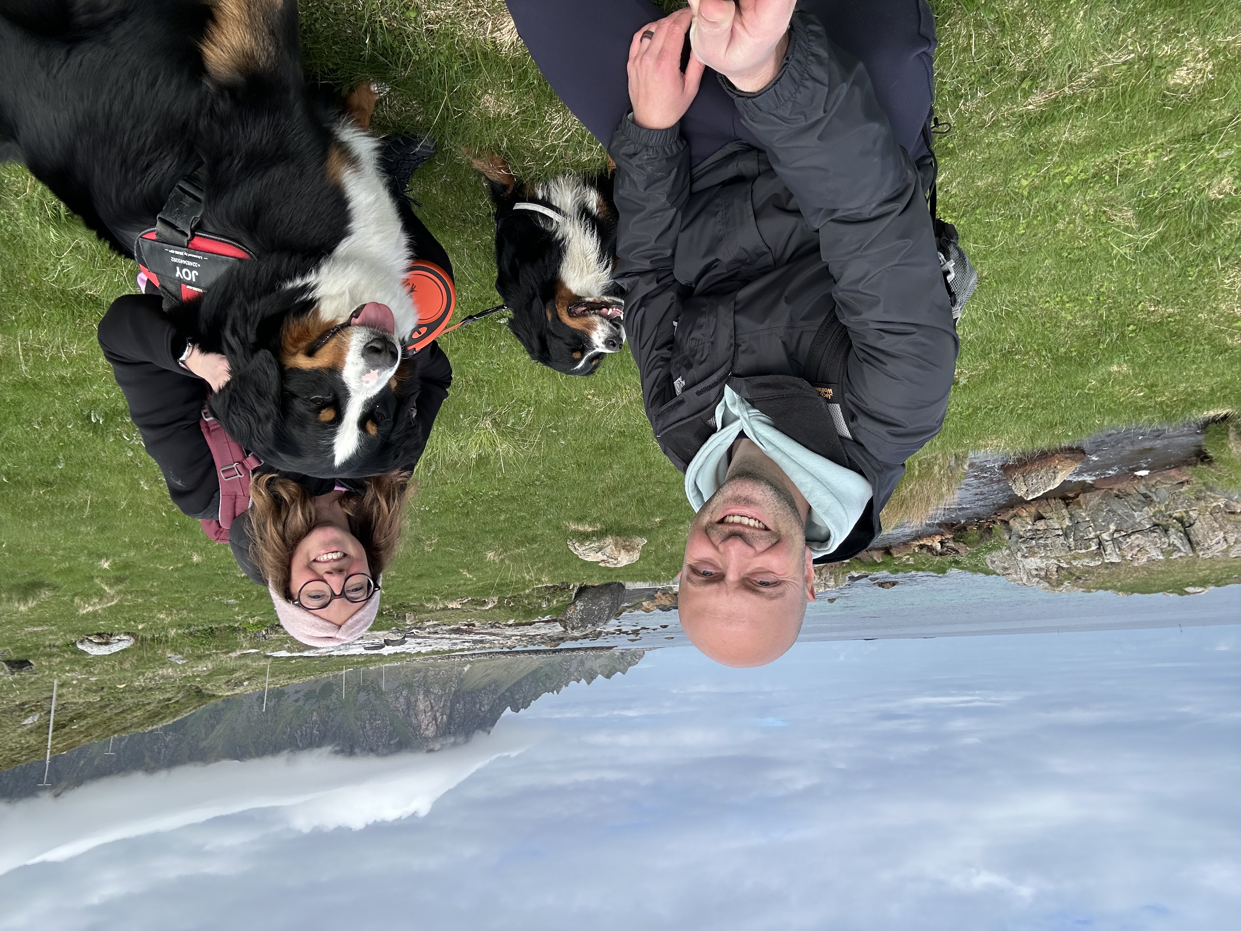 image-6