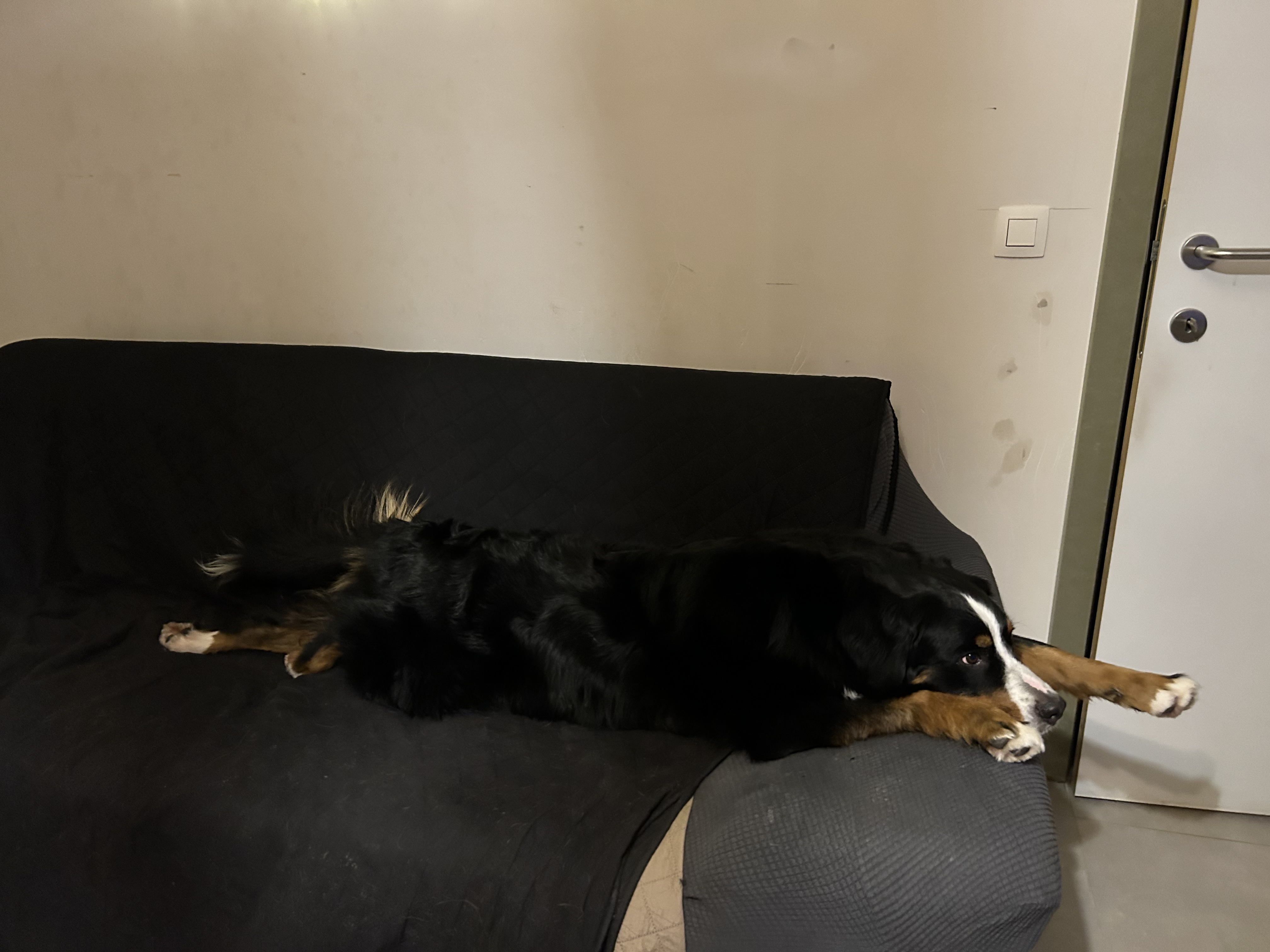 image-10
