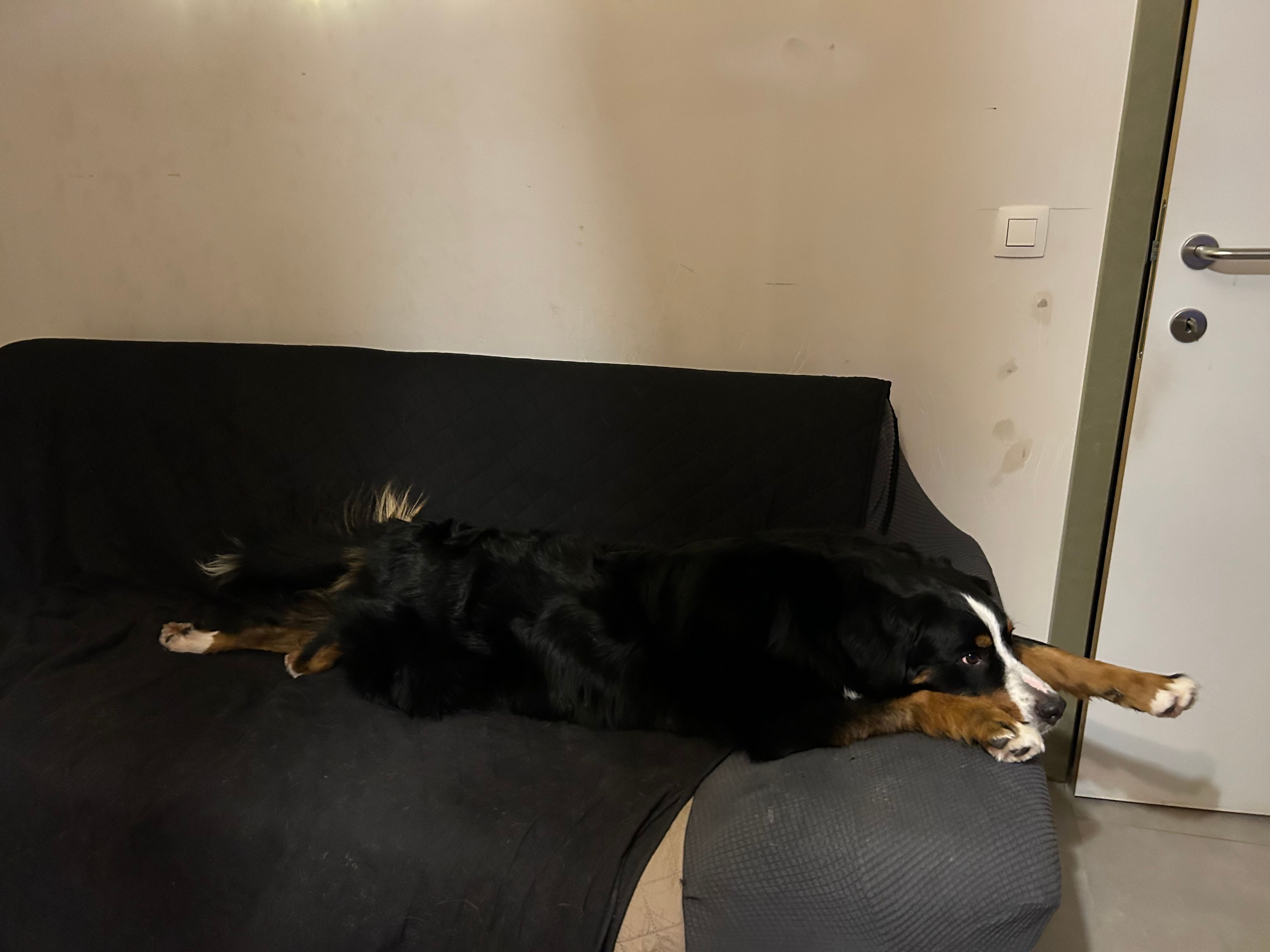 image-10