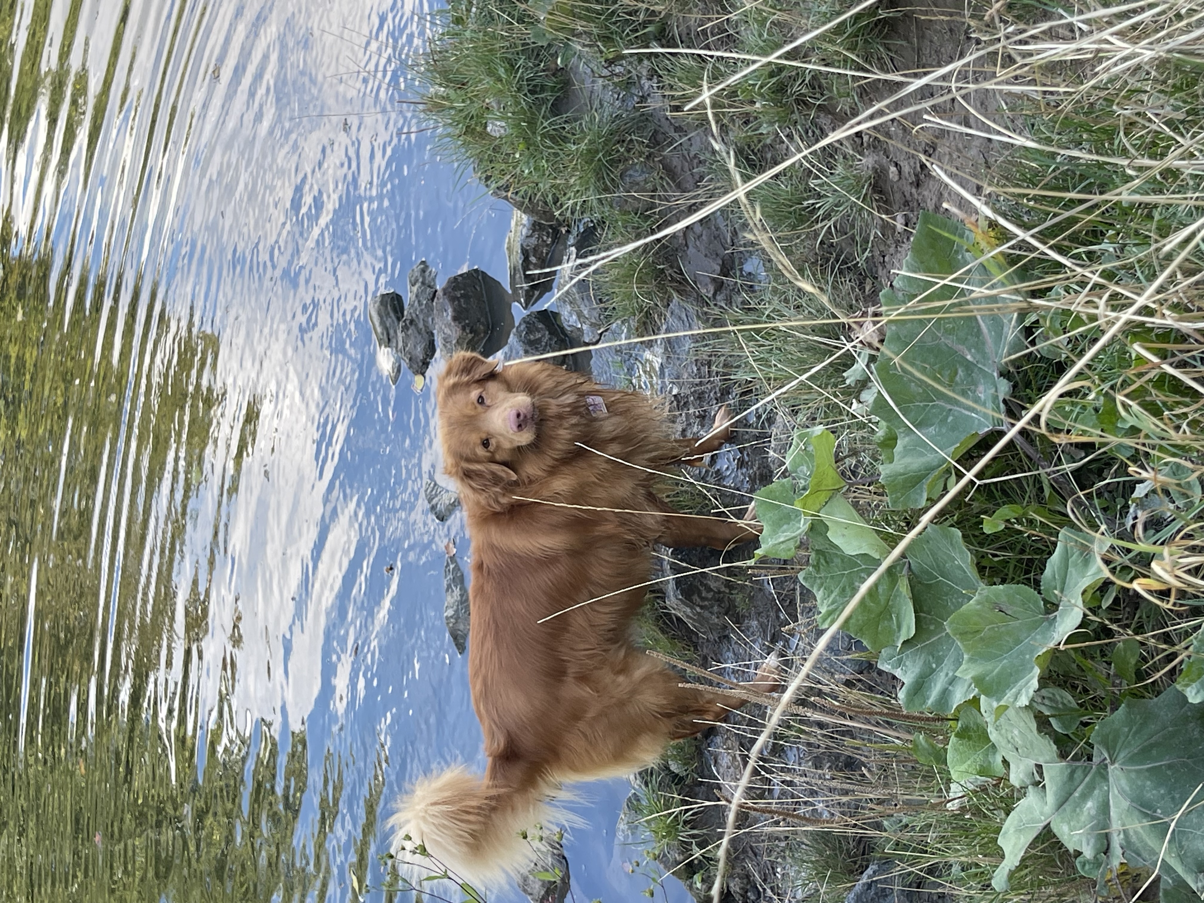 image-9