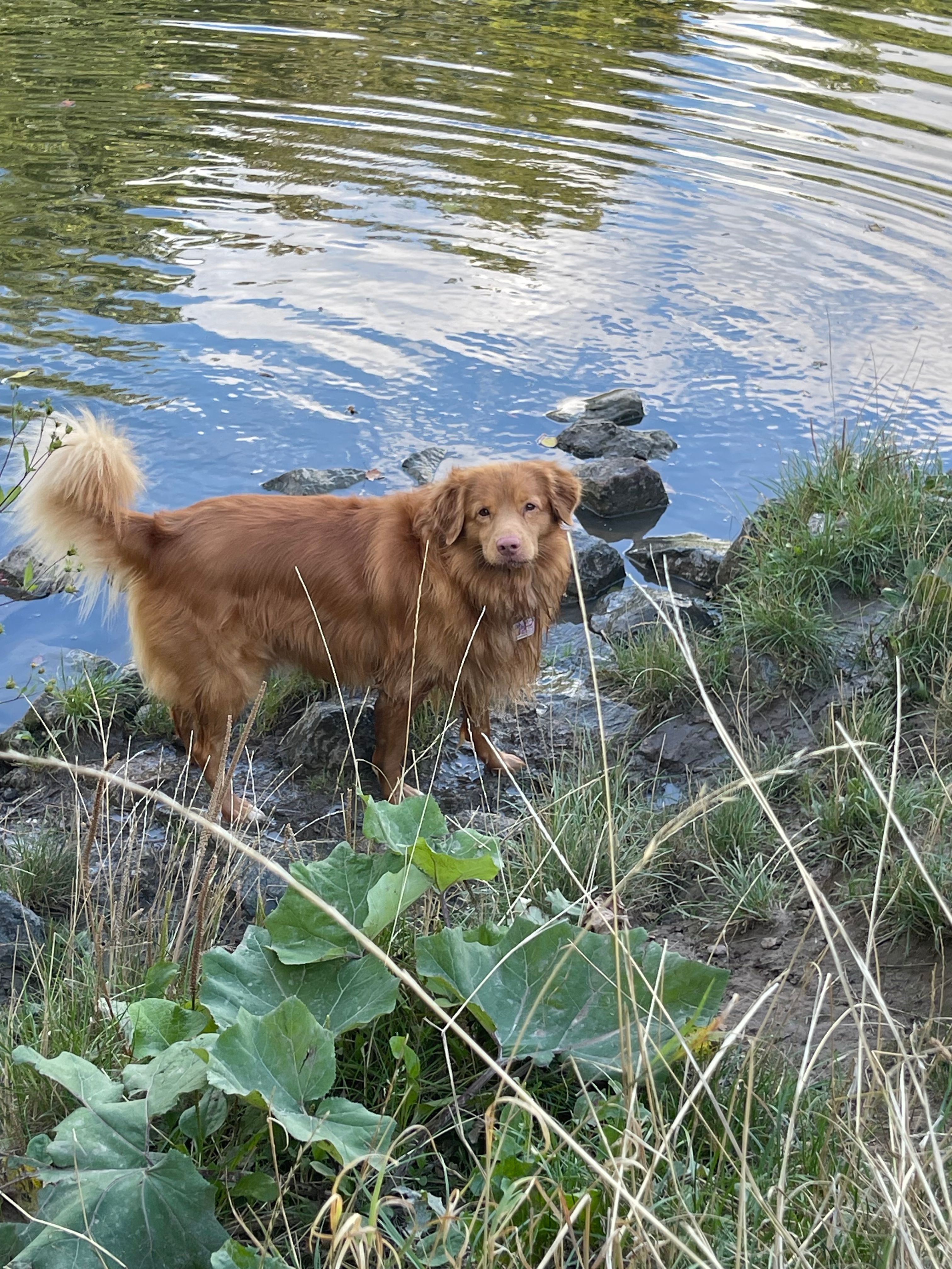 image-9