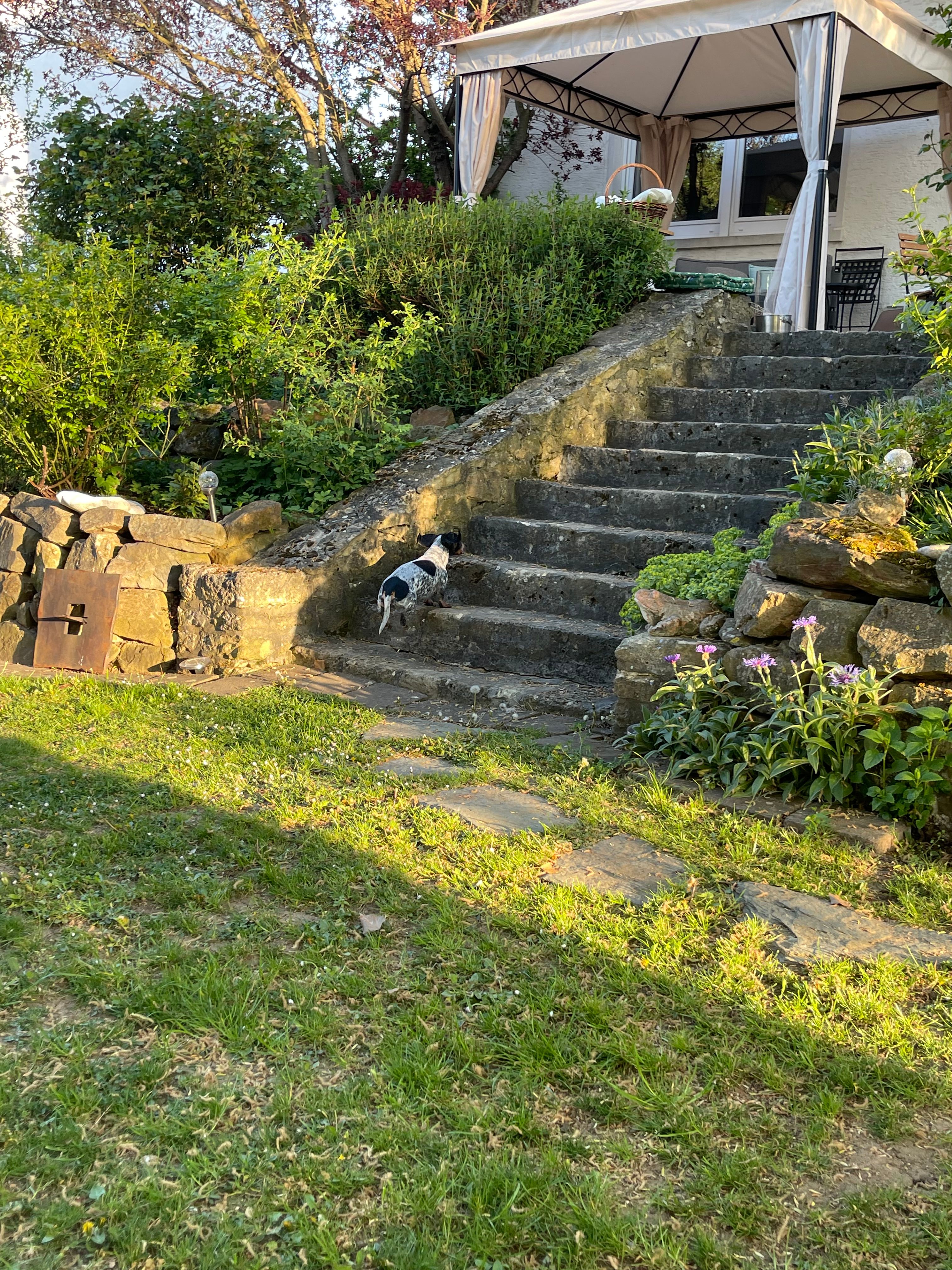 image-19
