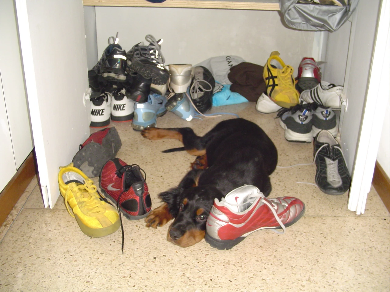 image-34