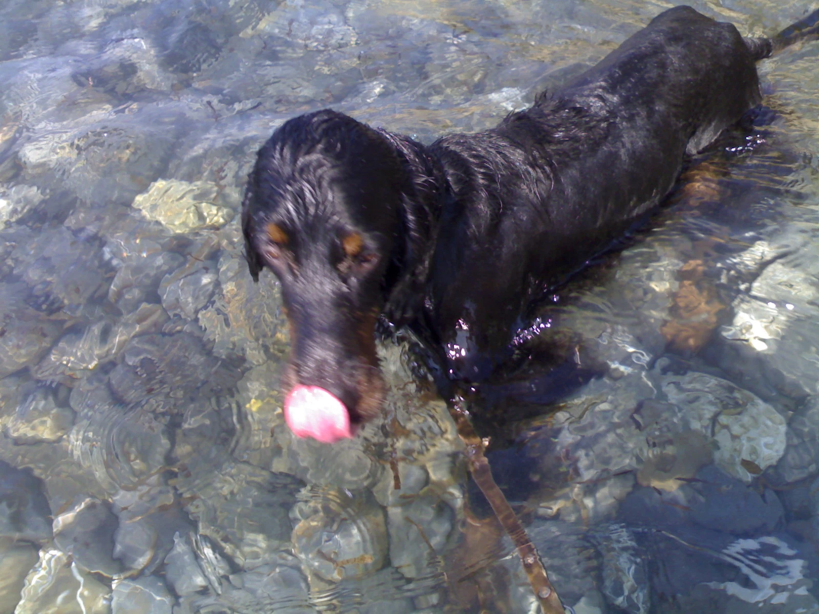 image-8
