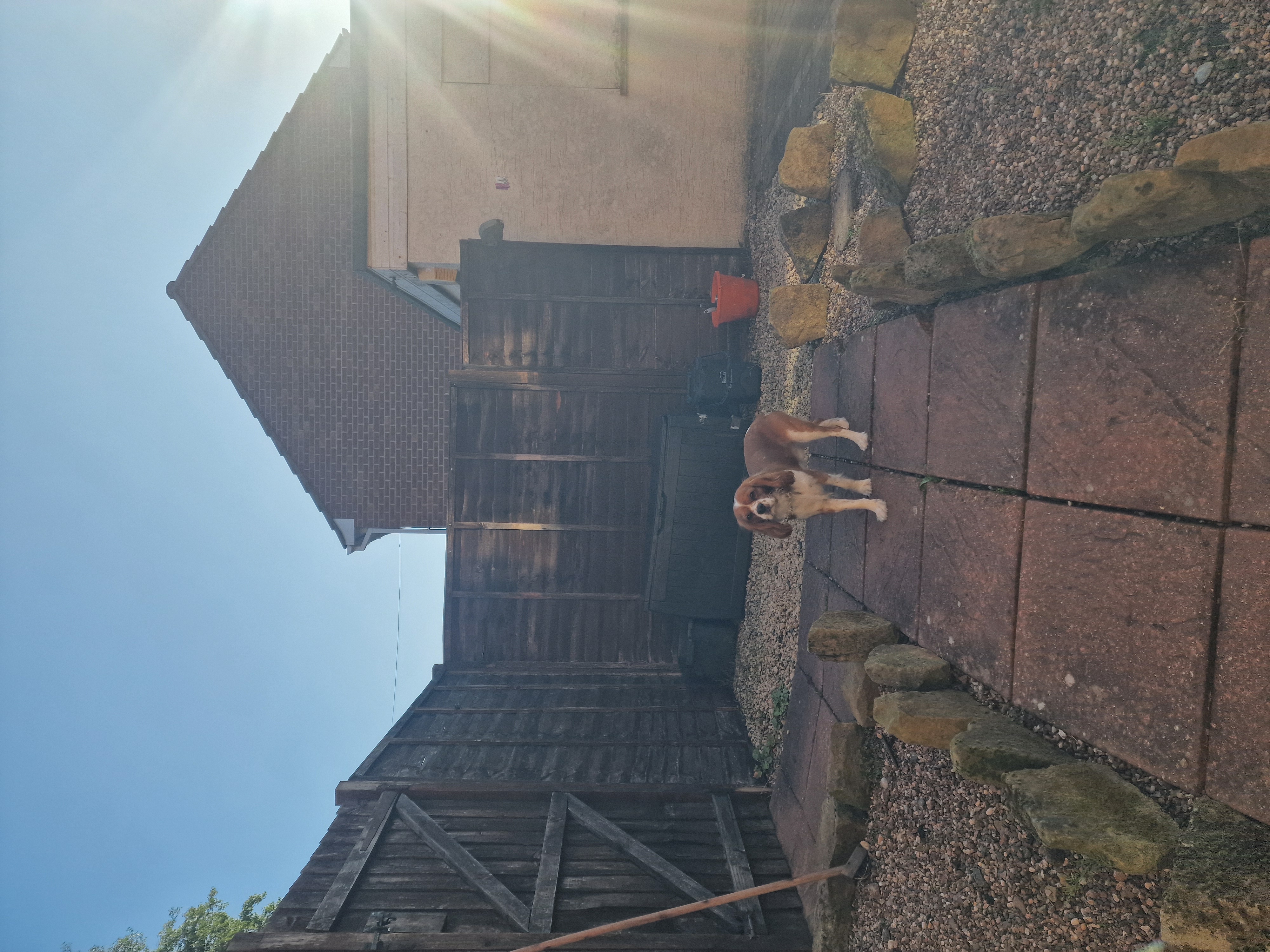image-14
