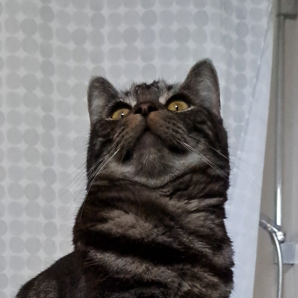 Theo