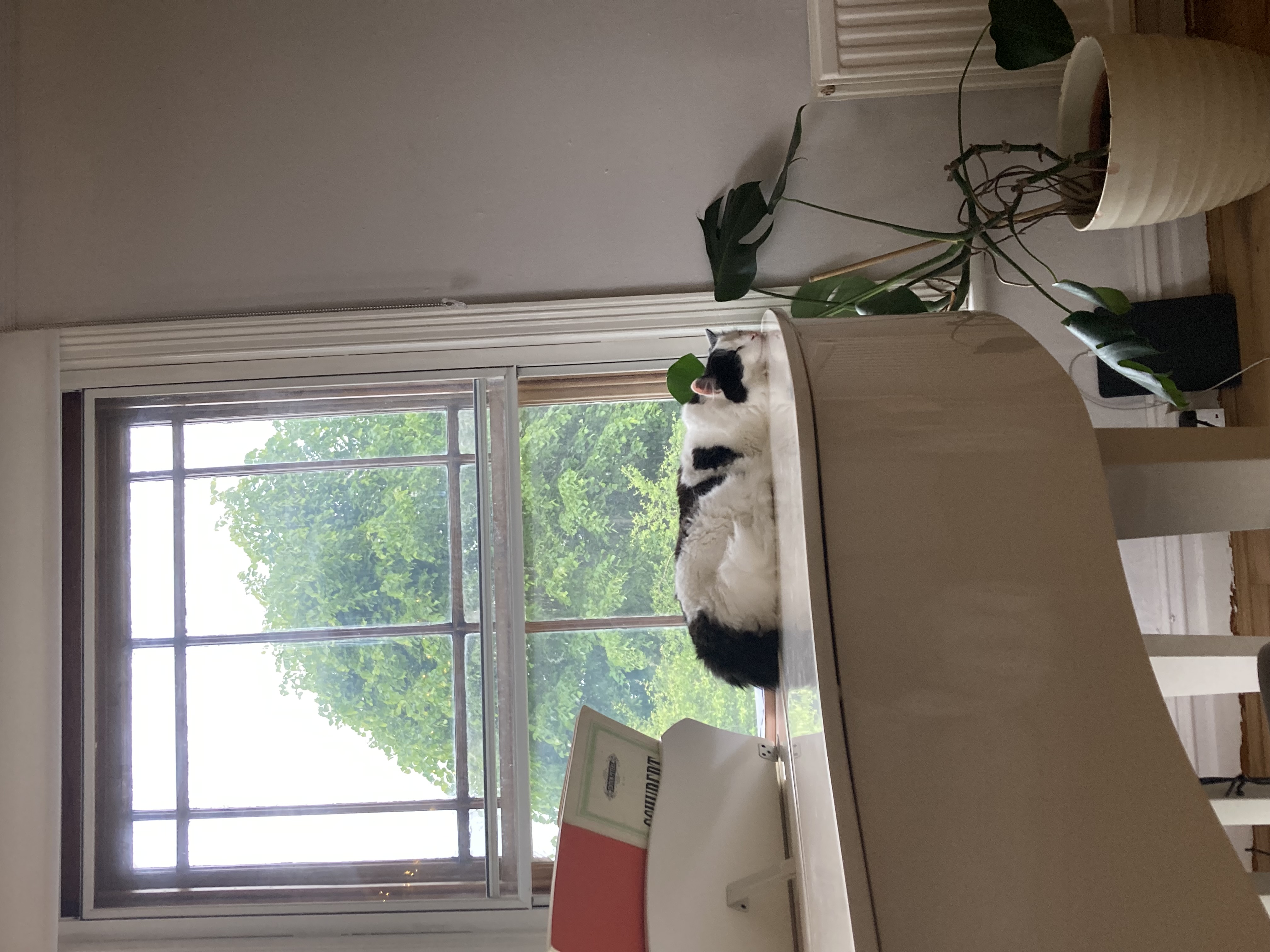 image-11