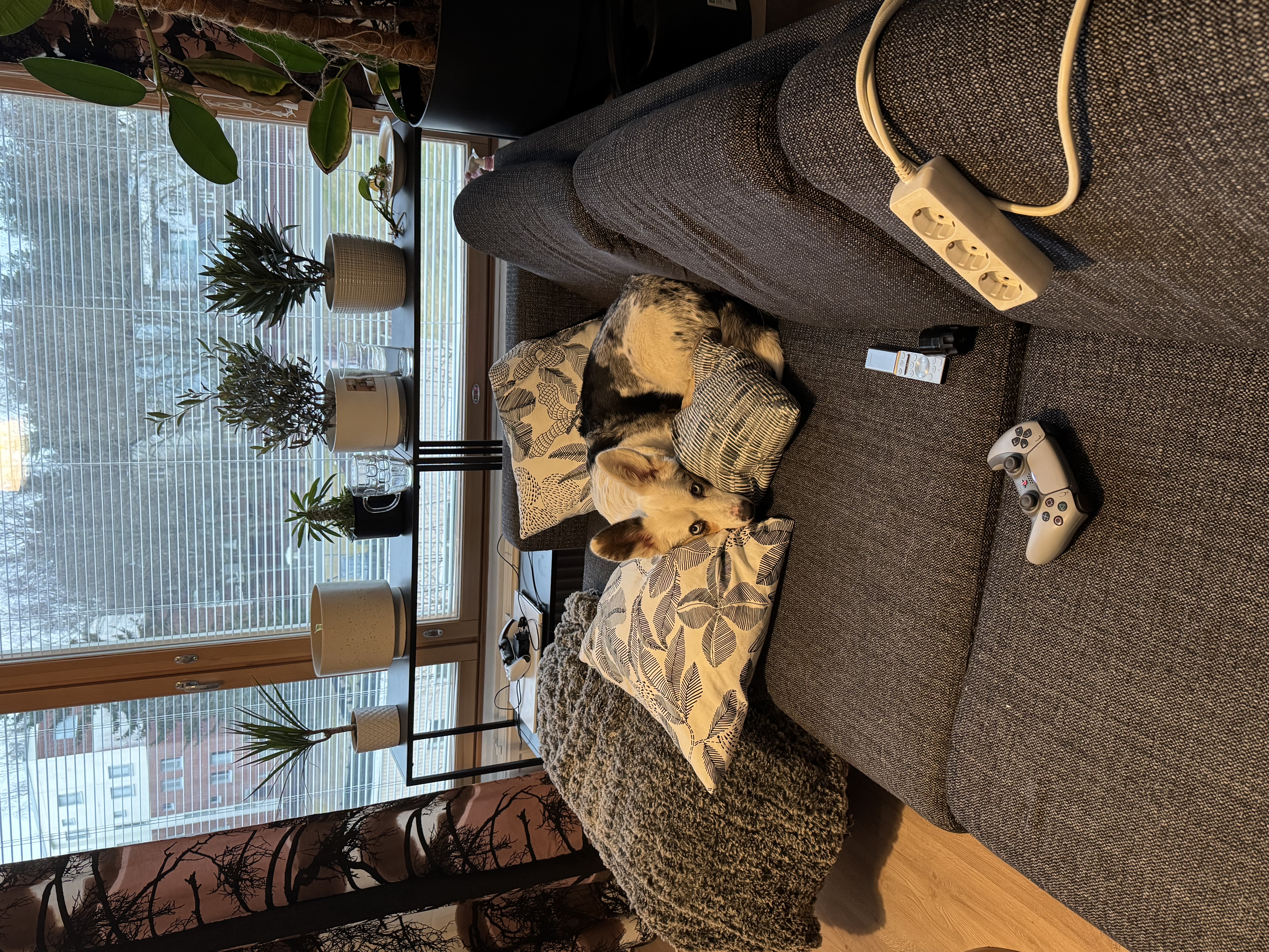 image-8