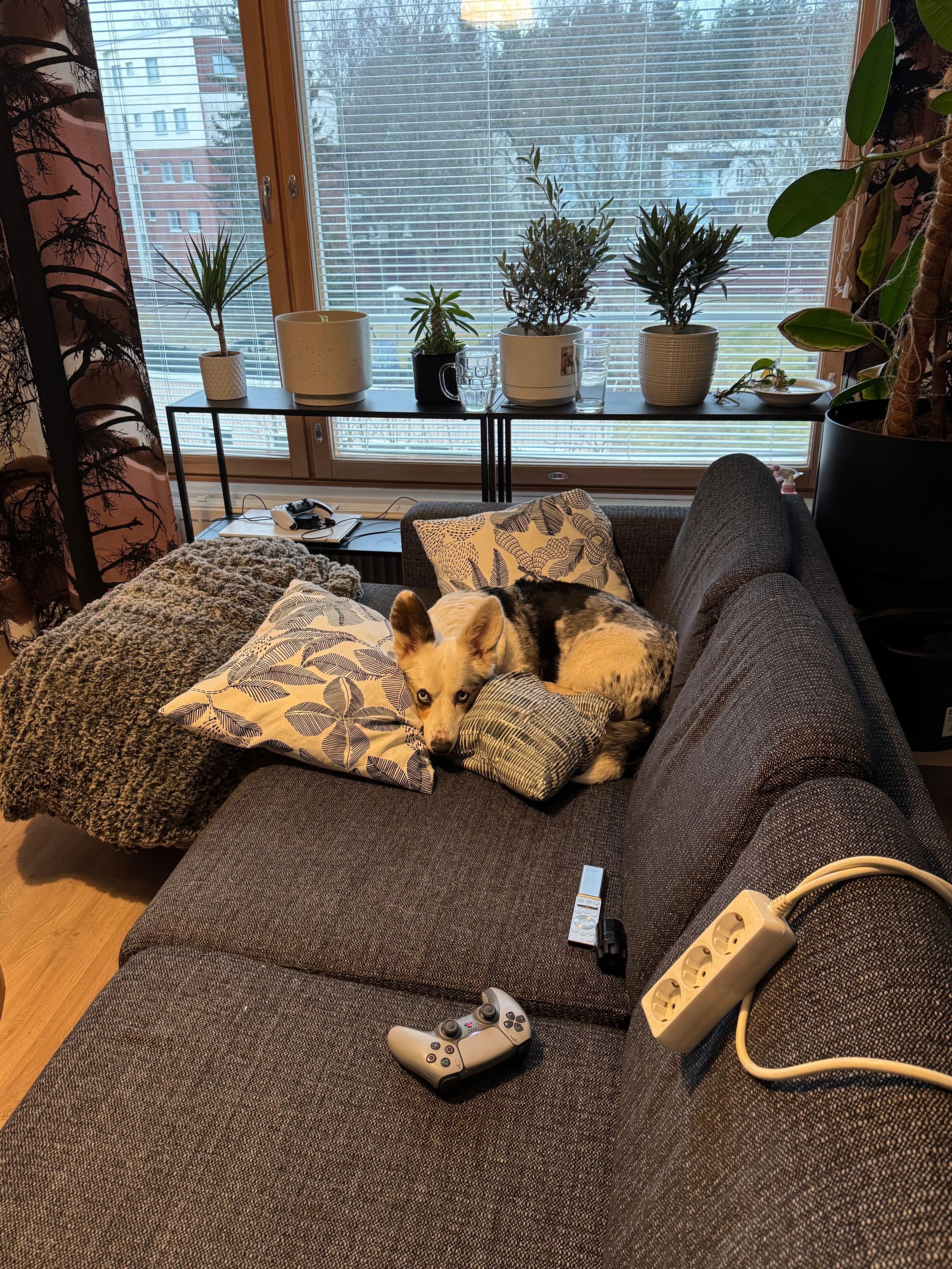 image-8