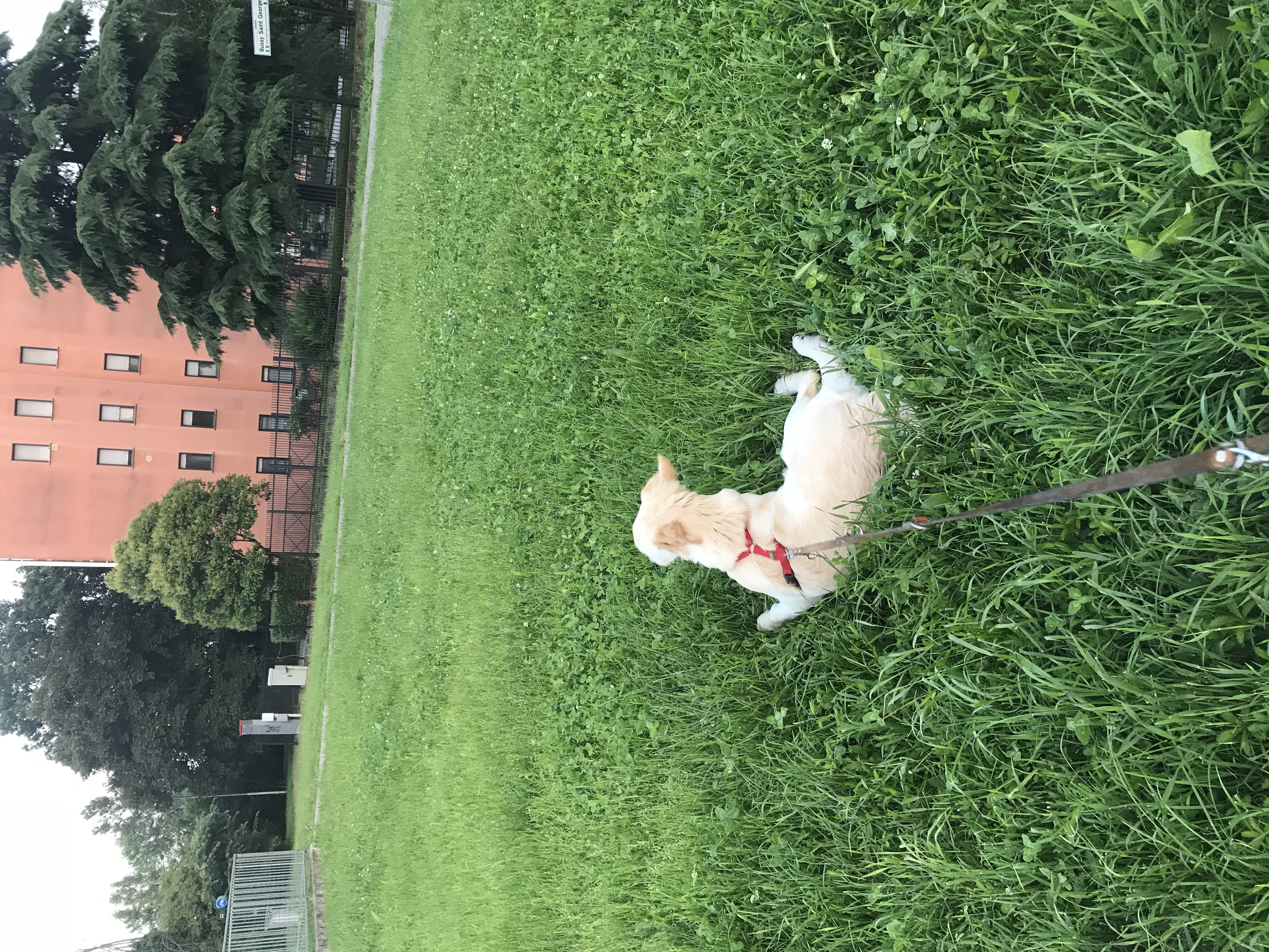image-7