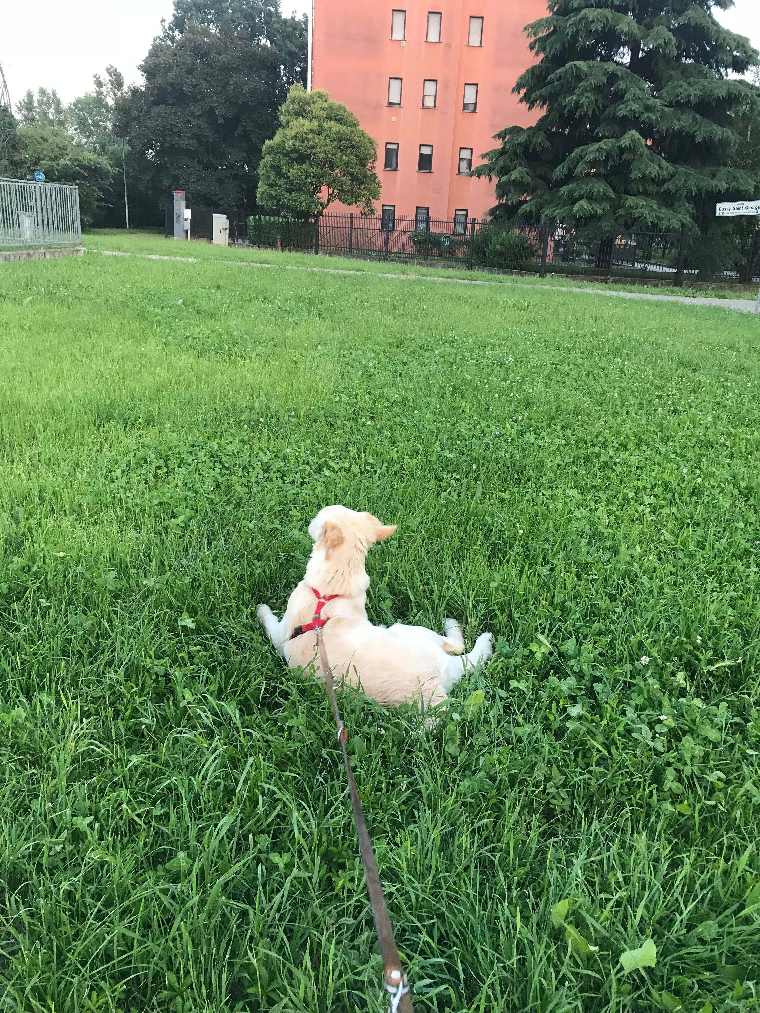 image-7