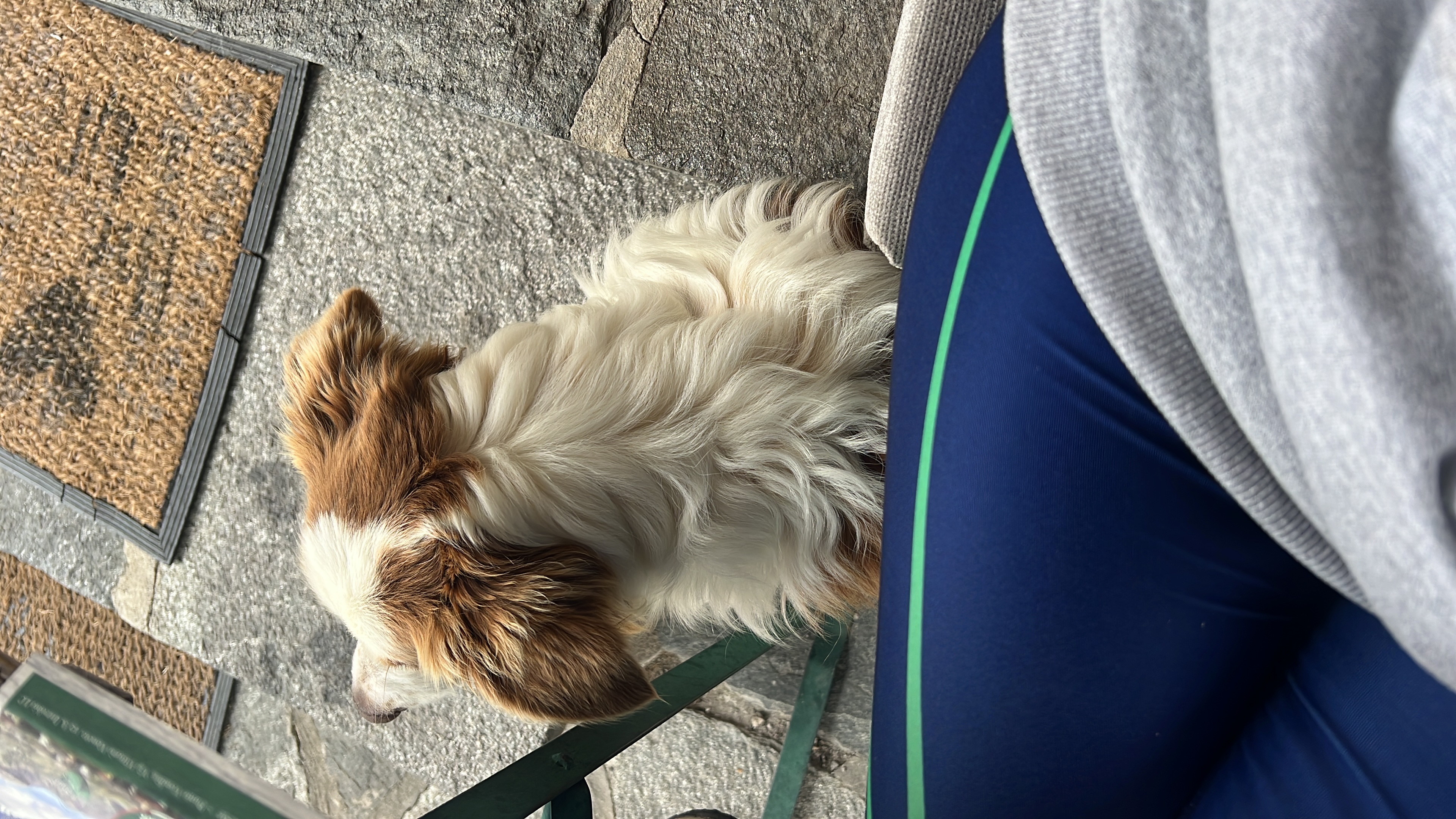 image-11