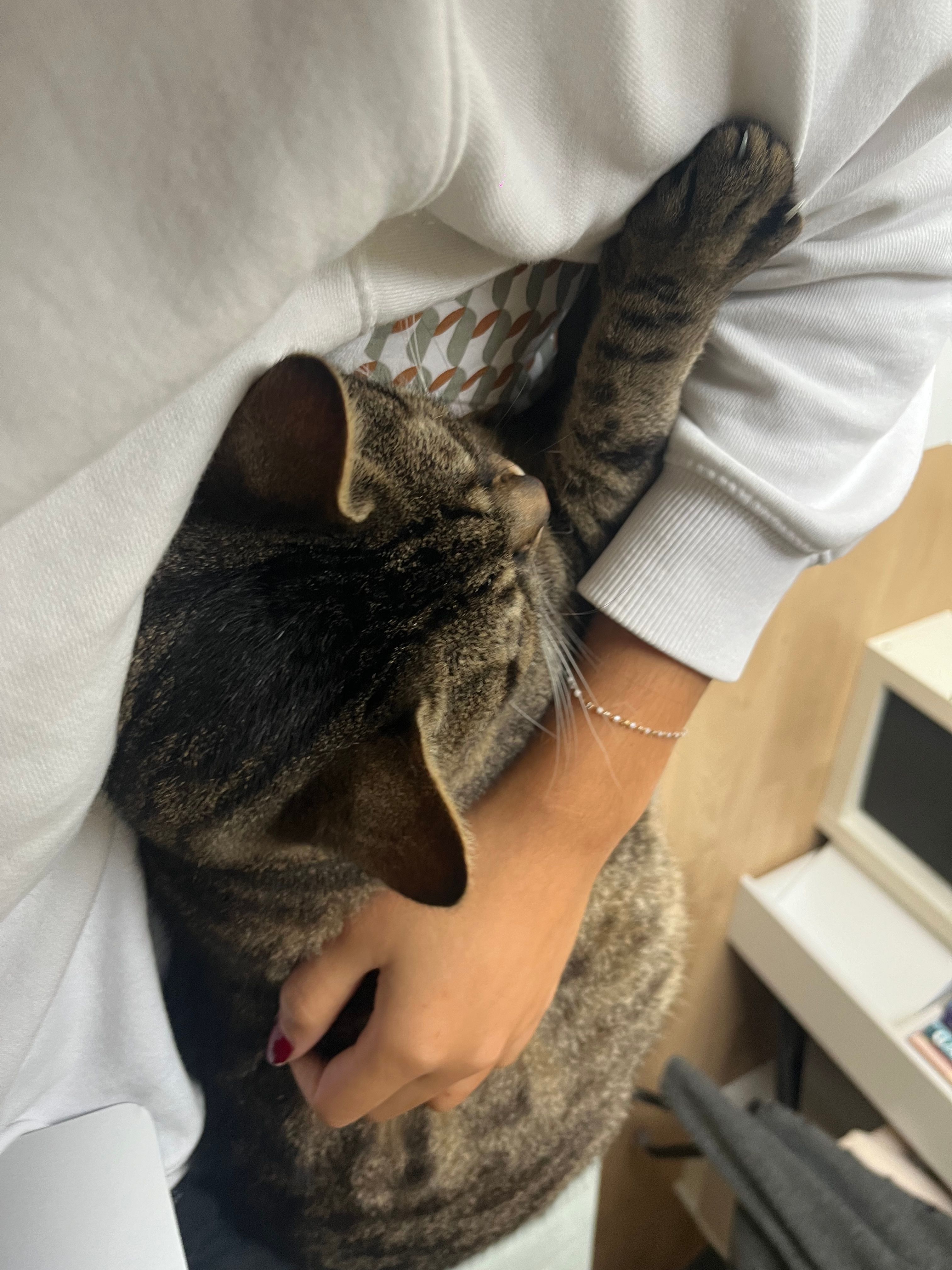 image-8