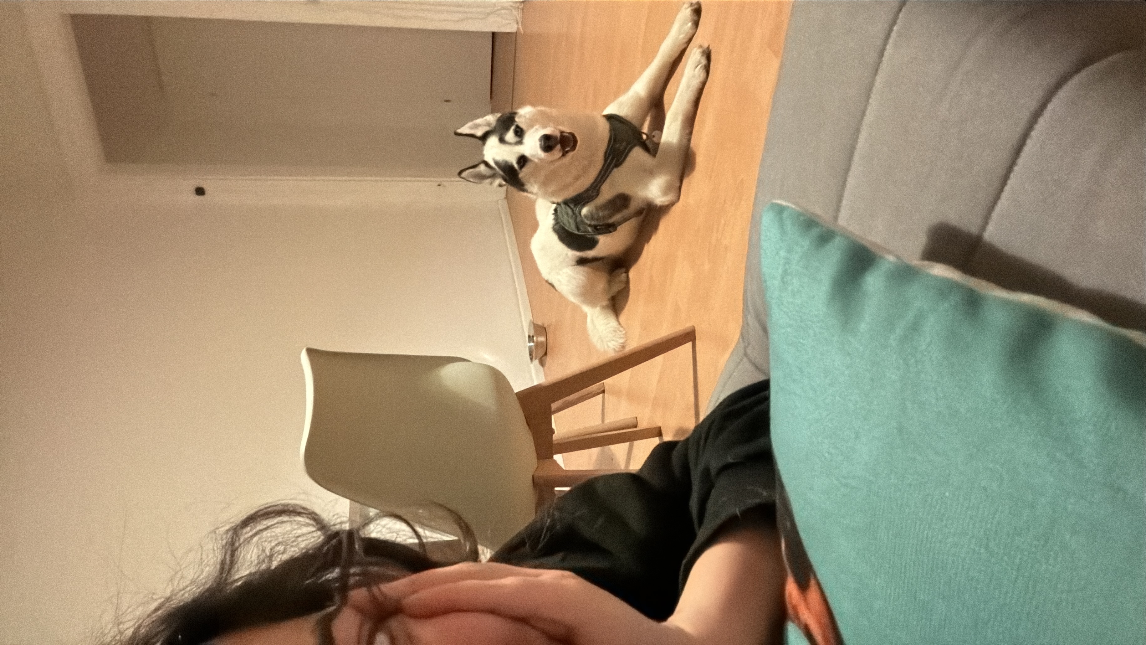 image-16