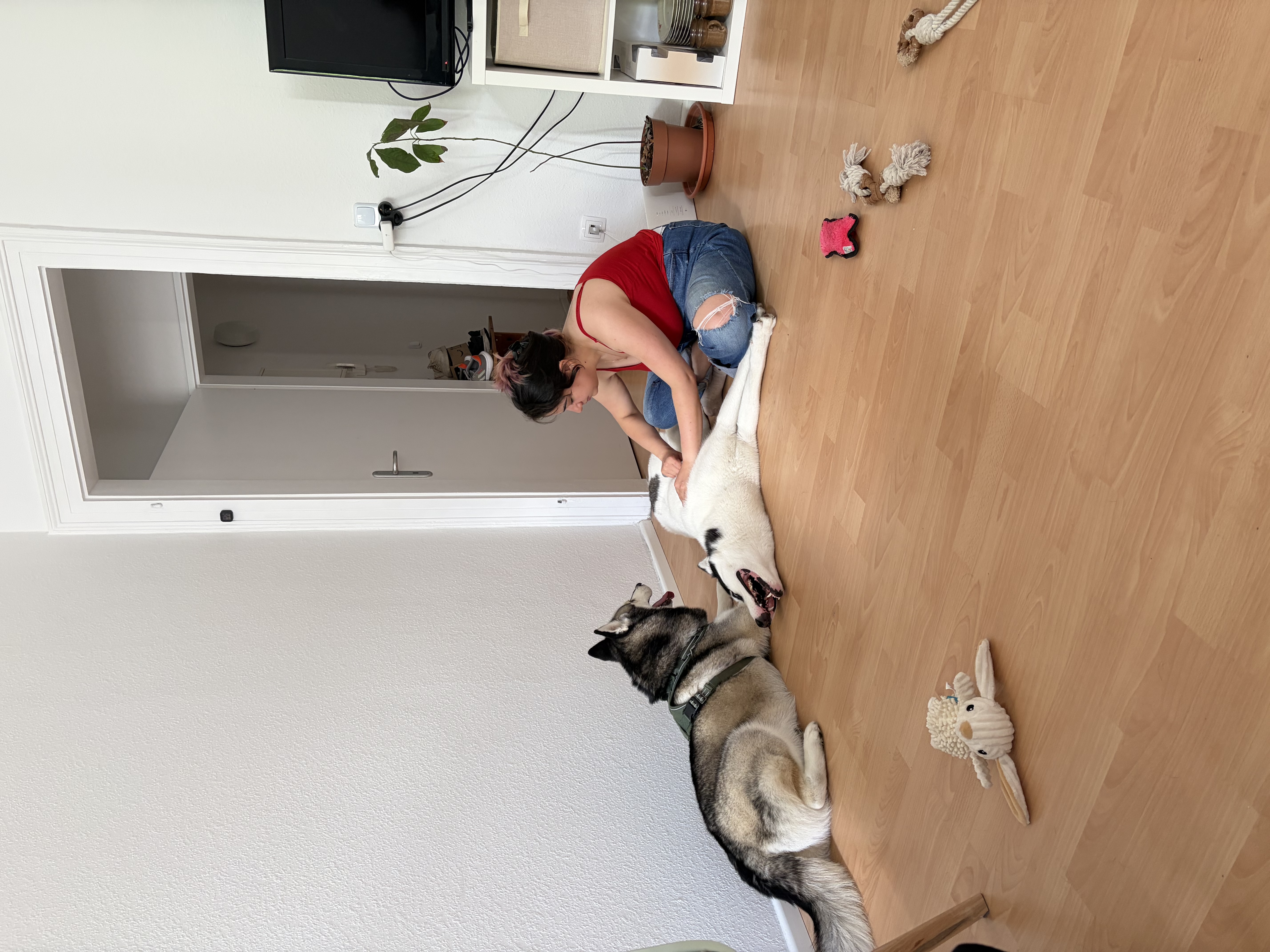 image-29