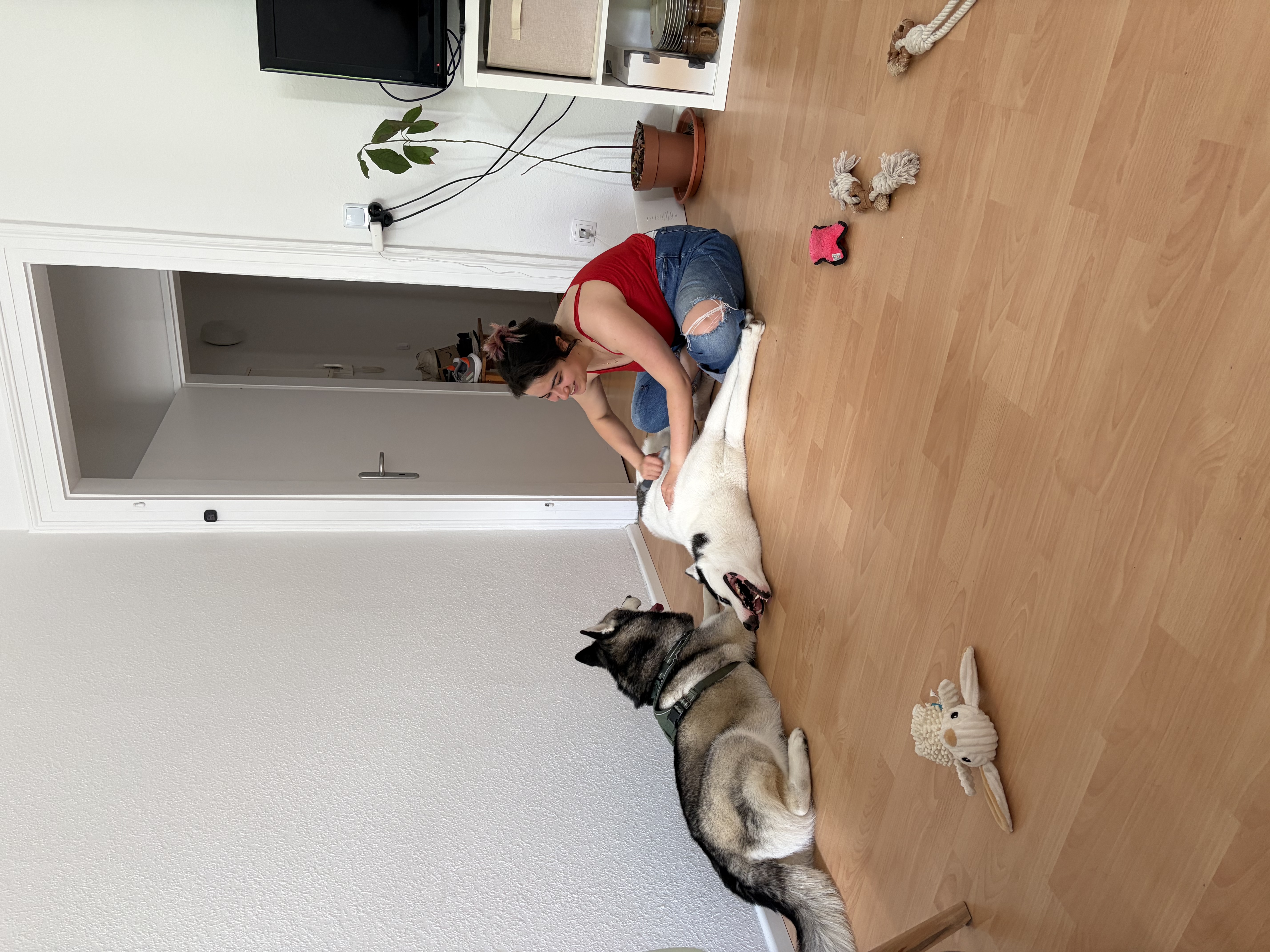 image-20