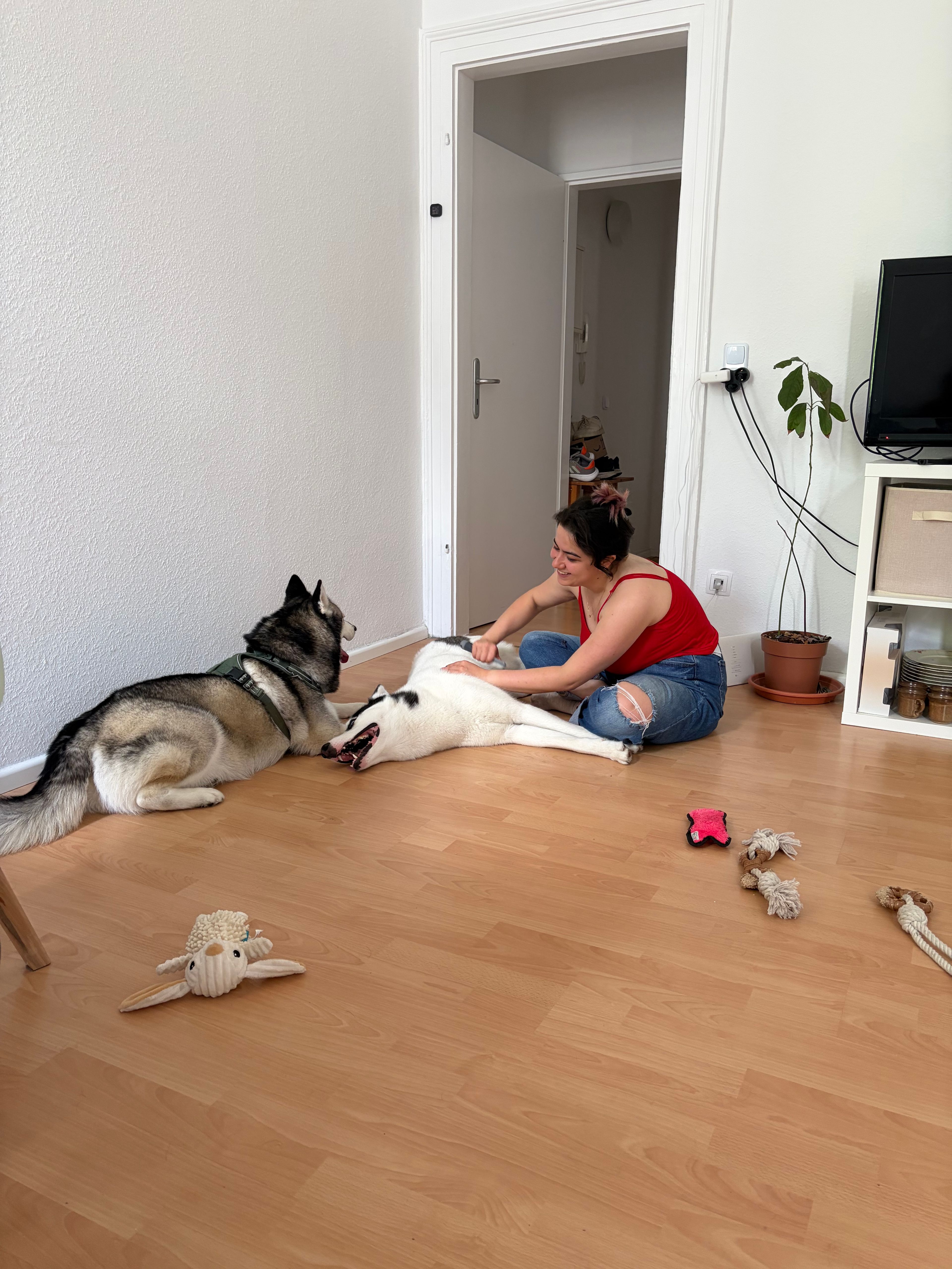 image-20